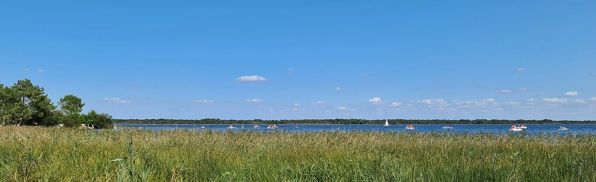 Photo showing: Roselière du lac de Hourtin à Piqueyrot. Au second plan, sports nautiques et pédalos.