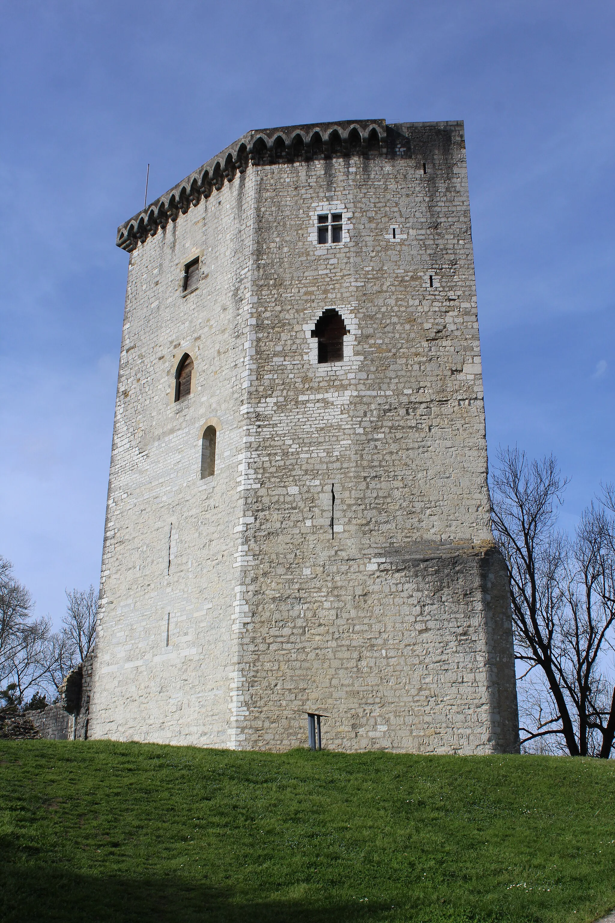 Photo showing: Château de Moncade / Castle of Moncade / Emmanuel Larrouturou