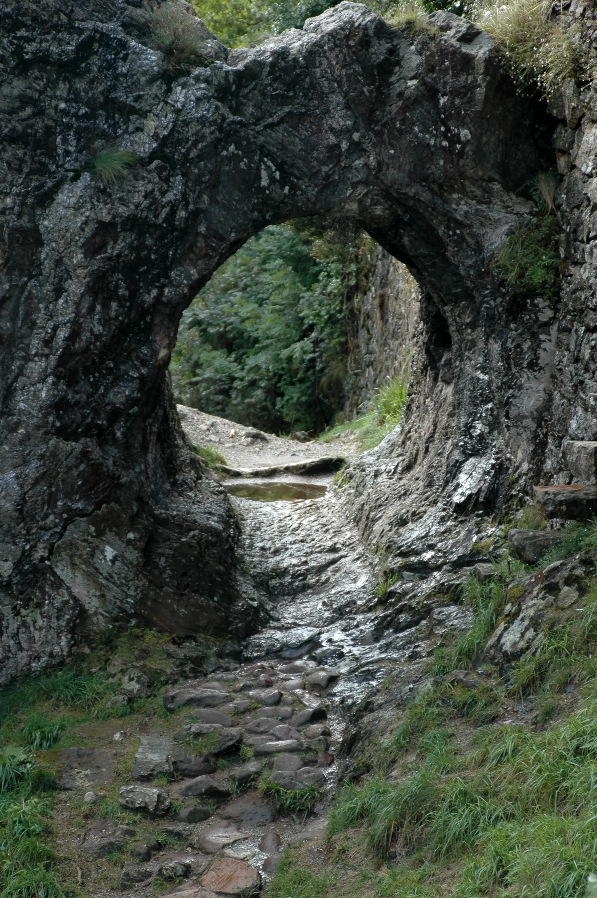 Photo showing: Itxassou, le Pas-de-Roland, le long de la Nive.