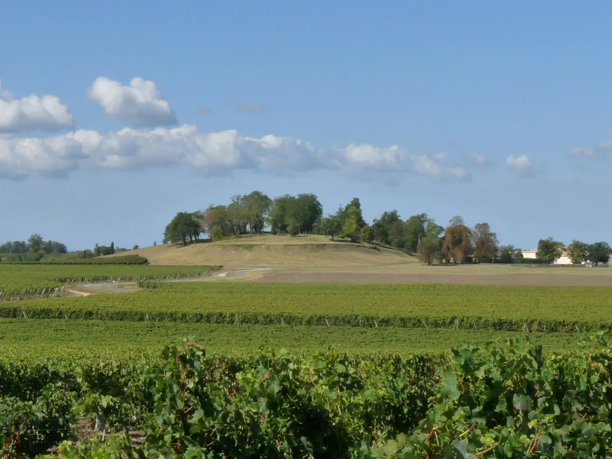 Photo showing: Ancien site de Blaignan (château), Gironde, France