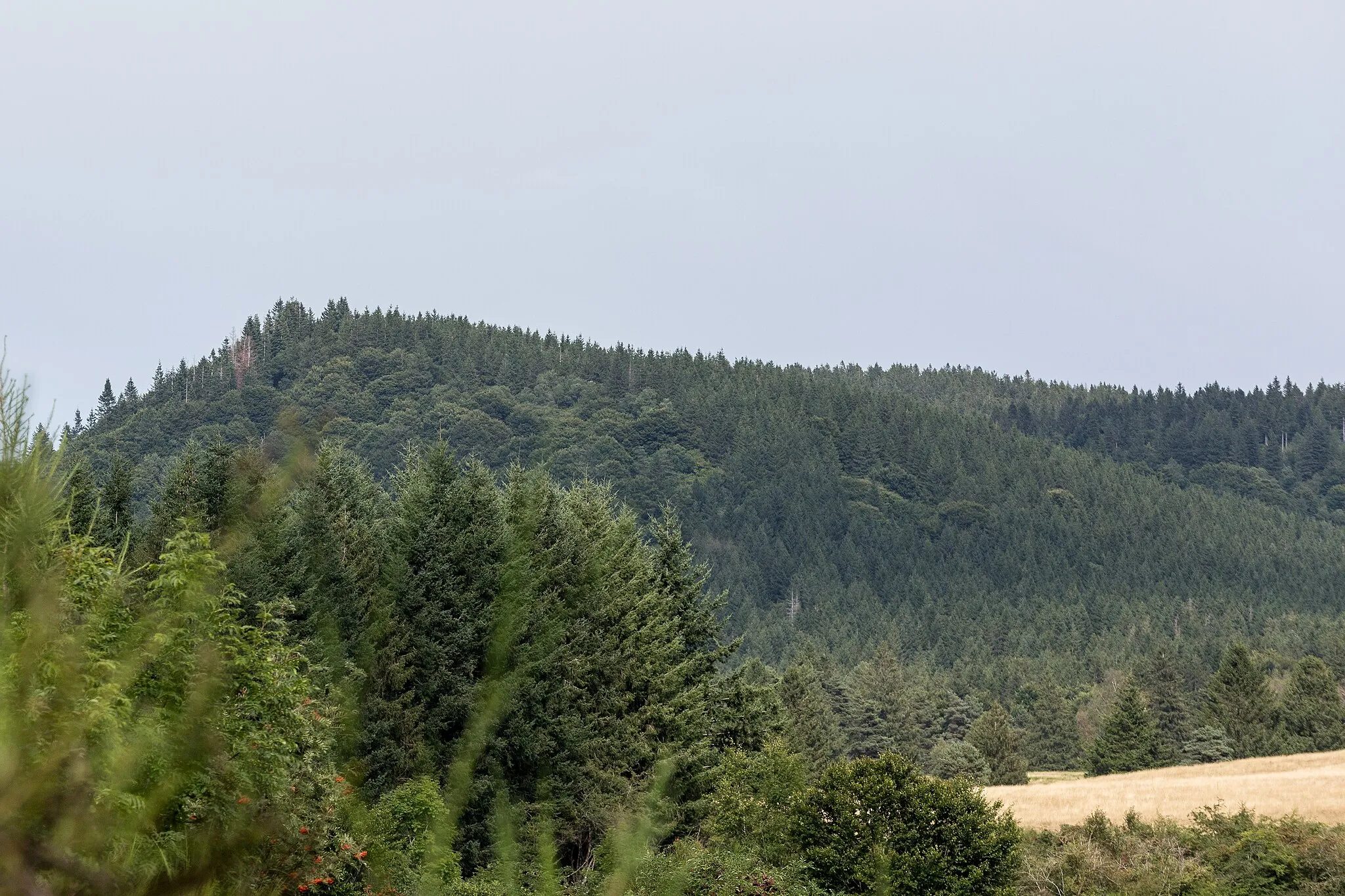 Photo showing: Le puy de Barme vu depuis la route du Col à Nébouzat.