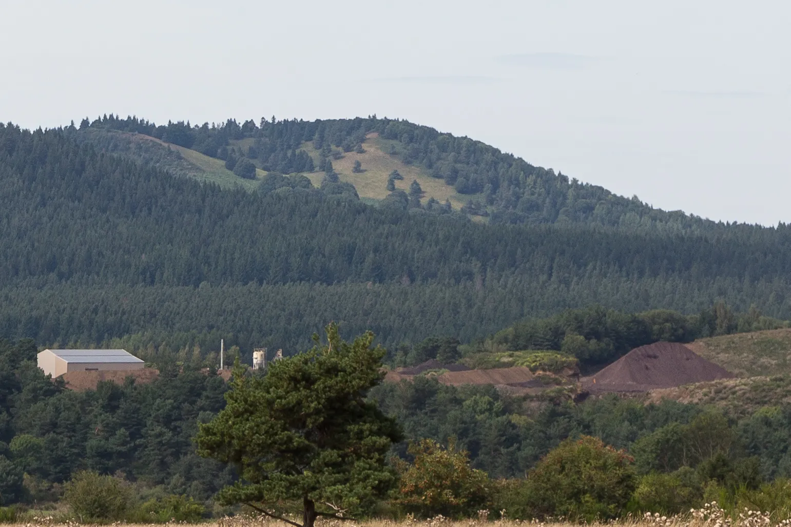 Photo showing: Le puy de Pourcharet vu depuis le puy de la Combegrasse à Aydat.