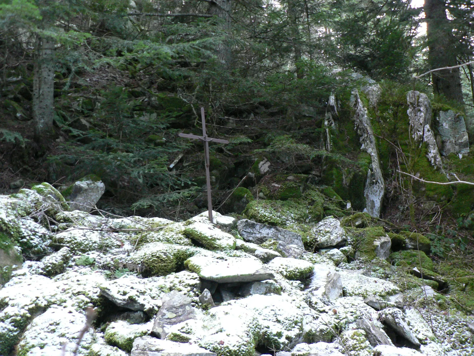 Photo showing: Les bois de la Vezolle, où se trouve la "croix du saint", jeune contre-révolutionnaire qui y aurait trouvé la mort.