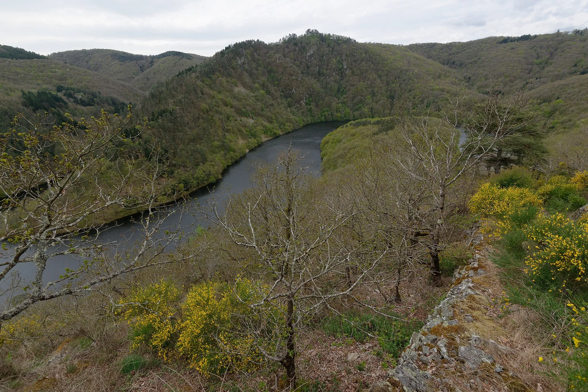 Photo showing: Vue sur les méandres de la Sioule depuis le chemin bâti allant jusqu'au barrage de Queuille, à Saint-Gervais d'Auvergne.