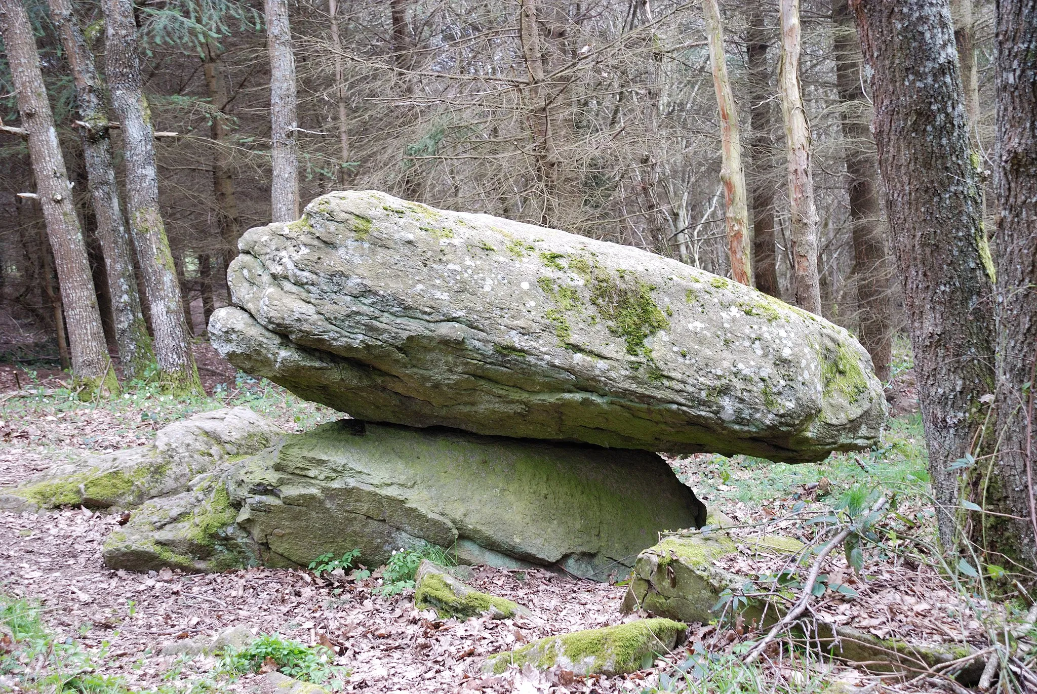 Photo showing: The "Pierre branlante (shaky stone) near the small hamlet of Ballages(commune of Combronde, Puy-de-Dôme, France, position N 45° 59' 39,9" E 003°03'03,4").