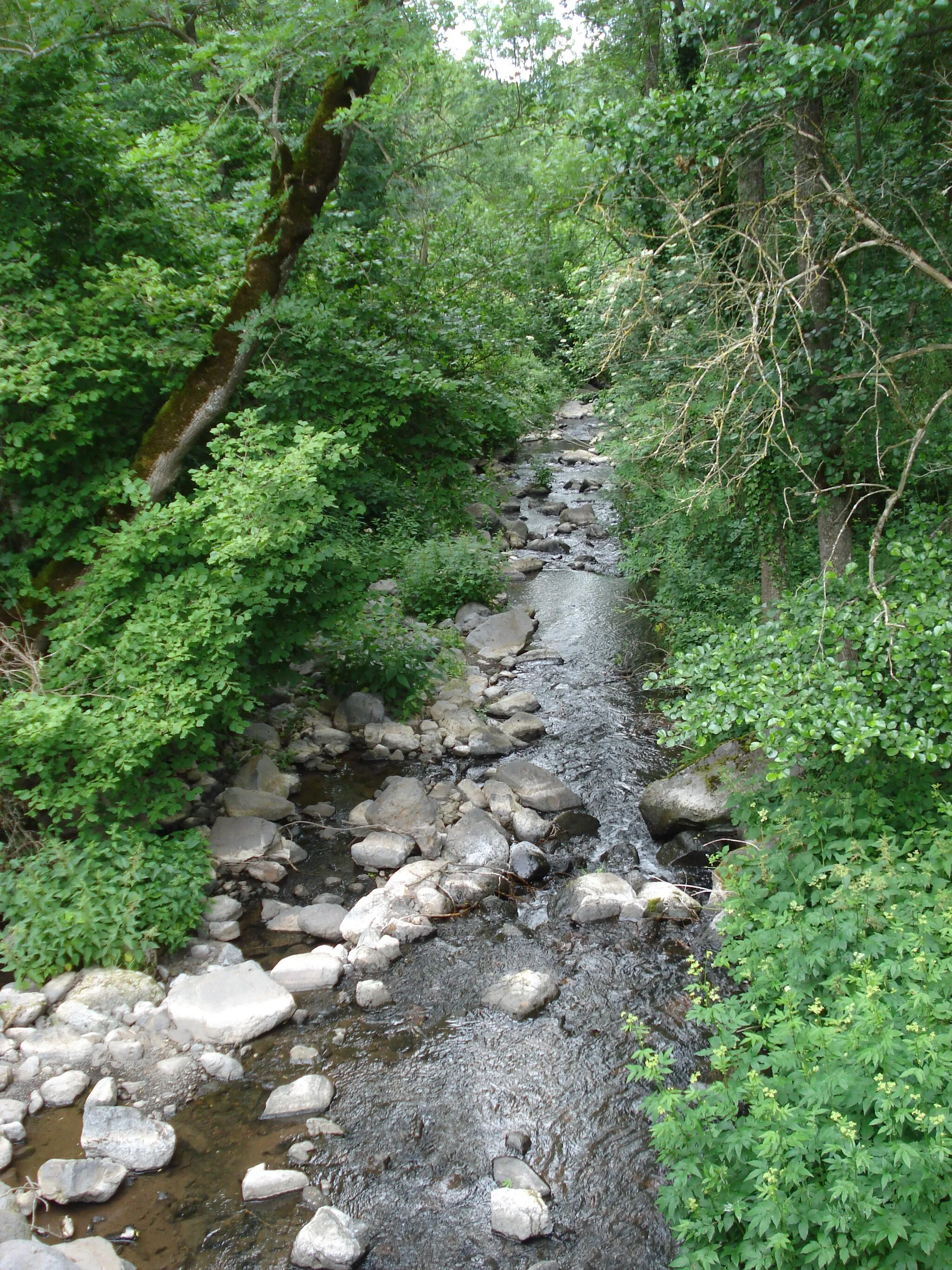 Photo showing: Gagne (River of Haute-Loire) at Cussac-sur-Loire close to the Loire