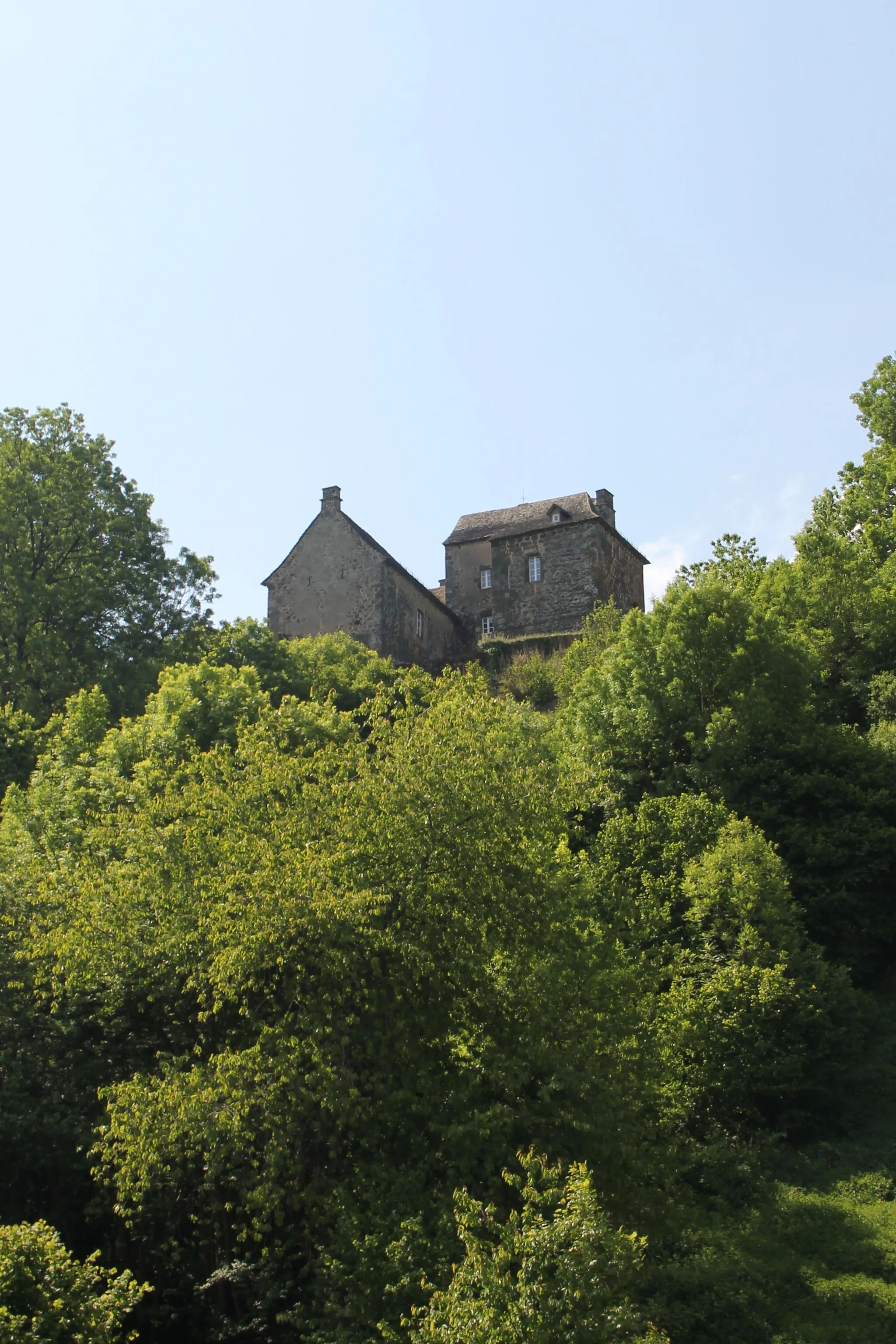 Photo showing: Château de Ferluc