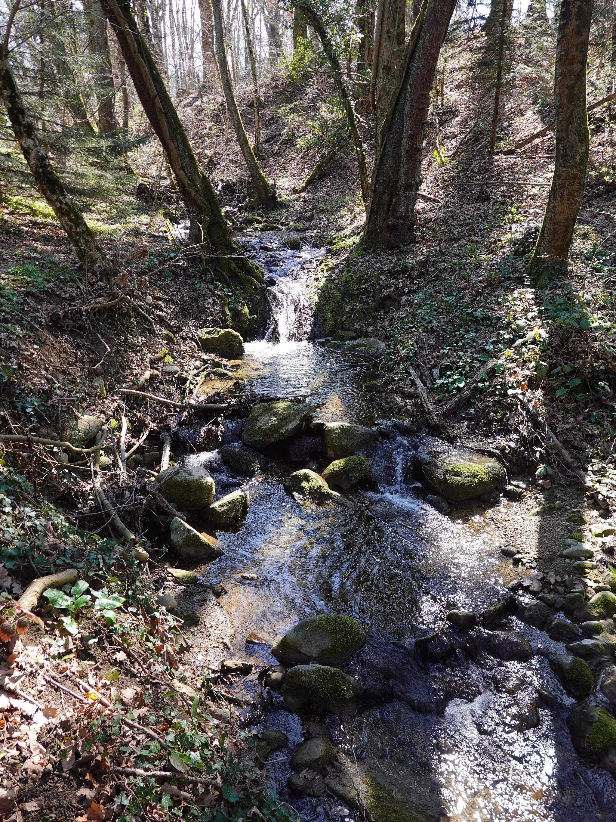 Photo showing: Ruisseau de Beaumont @ Neydens