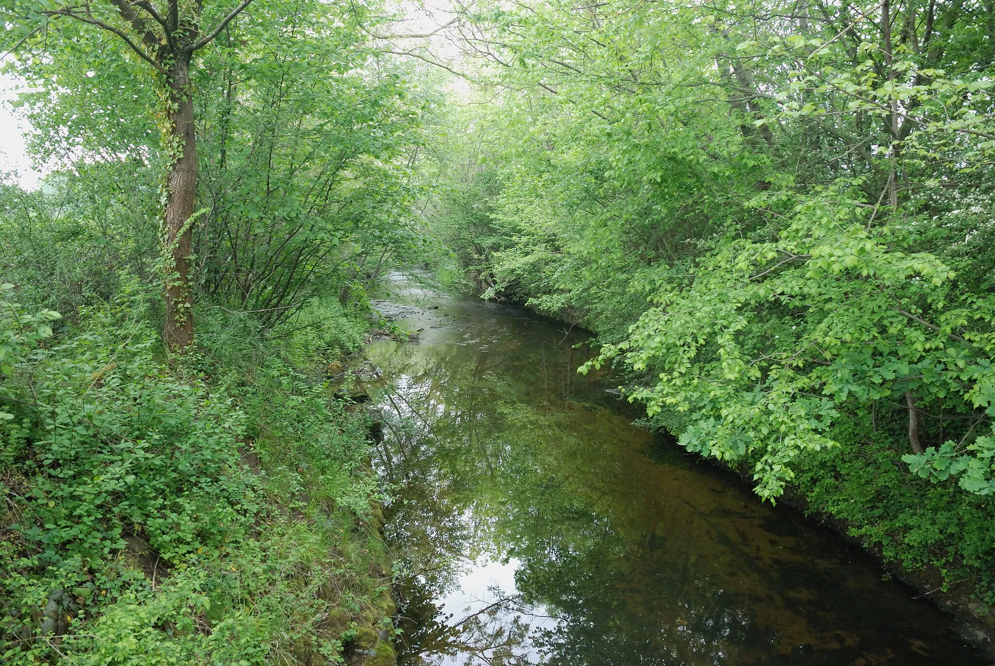 Photo showing: The Litroux river (Culhat, Puy-de-Dôme, France).