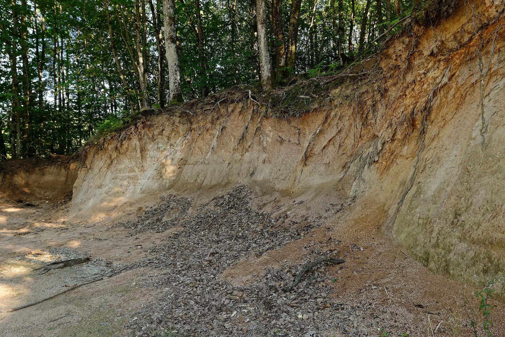 Photo showing: Affleurement de gore dans les bois près de Charasse, à Châtel-Montagne dans l'Allier.