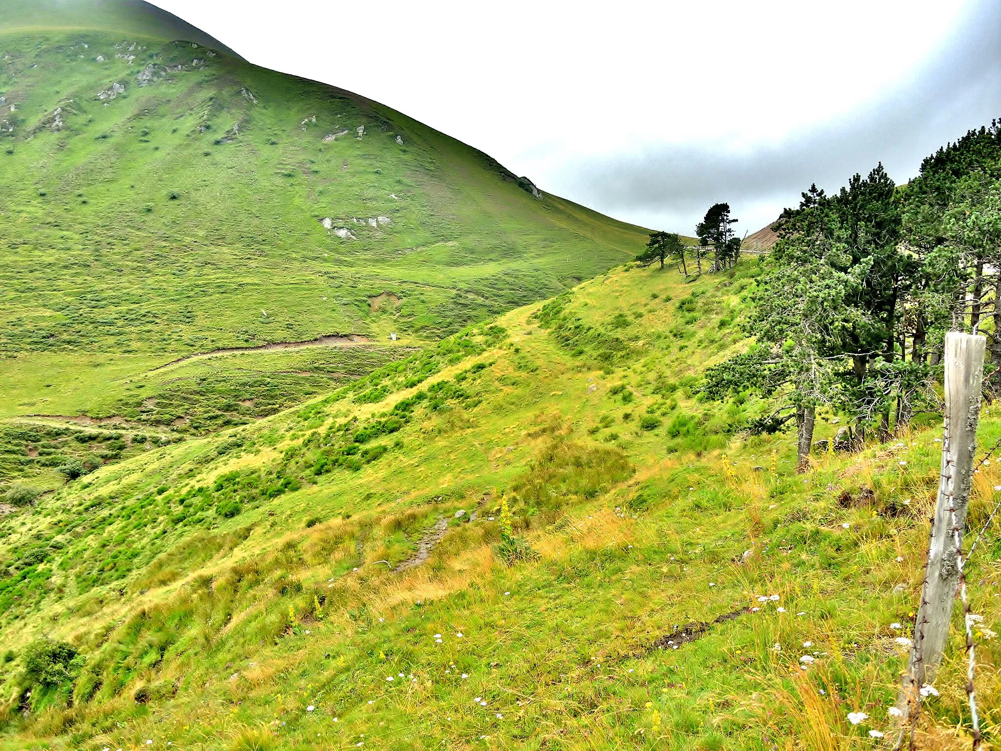 Photo showing: Col de la Croix-Morand, vu du parking sous le col, coté sud-est. Puy-de-Dôme