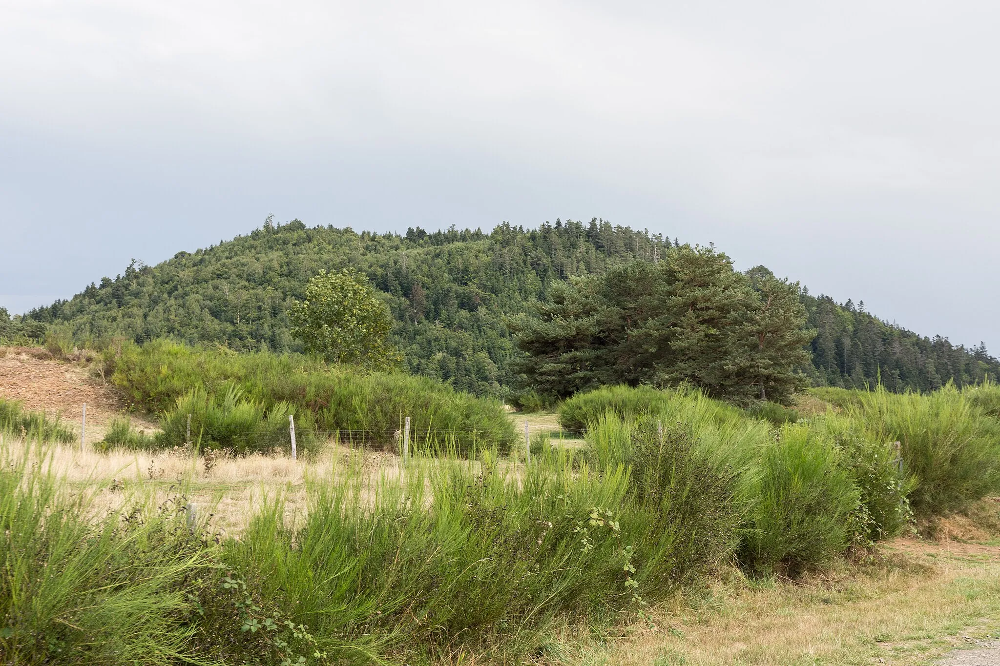 Photo showing: Le puy de la Rodde vu depuis le puy de la Combegrasse à Aydat.