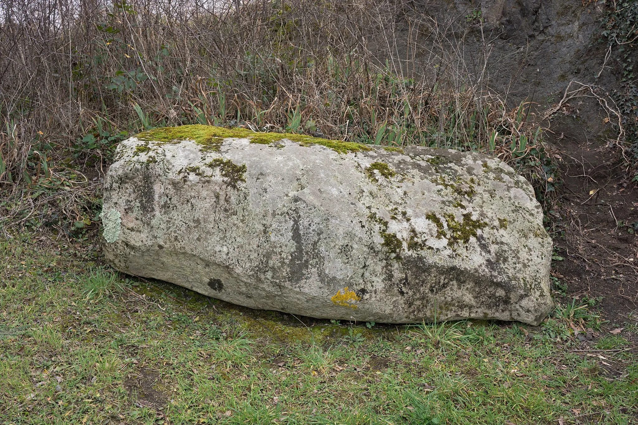 Photo showing: Menhir couché du Puy de la Poix