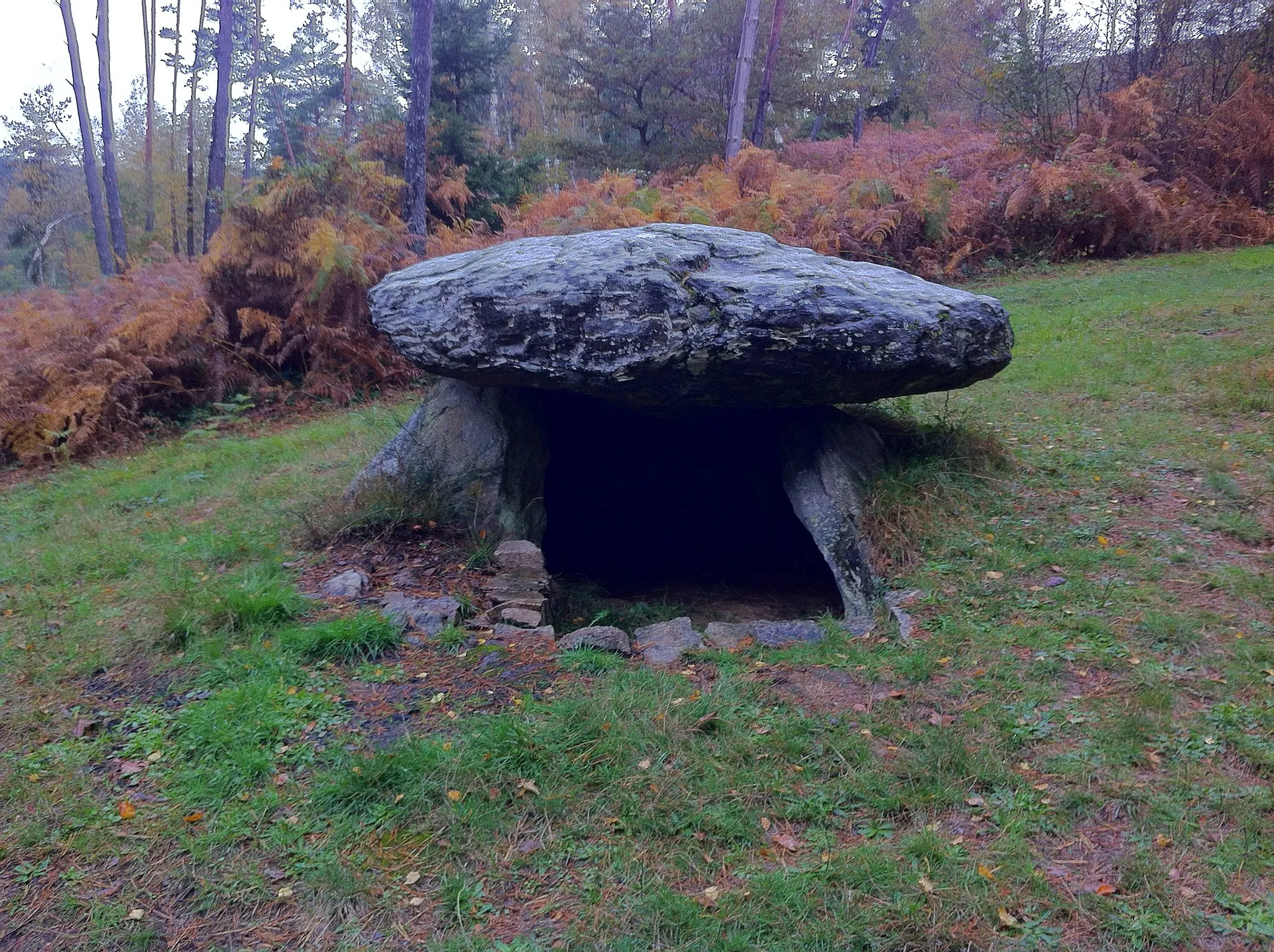 Photo showing: Dolmen de la Pierre-Fade, Saint-Étienne-des-Champs, Puy-de-Dôme, Auvergne.