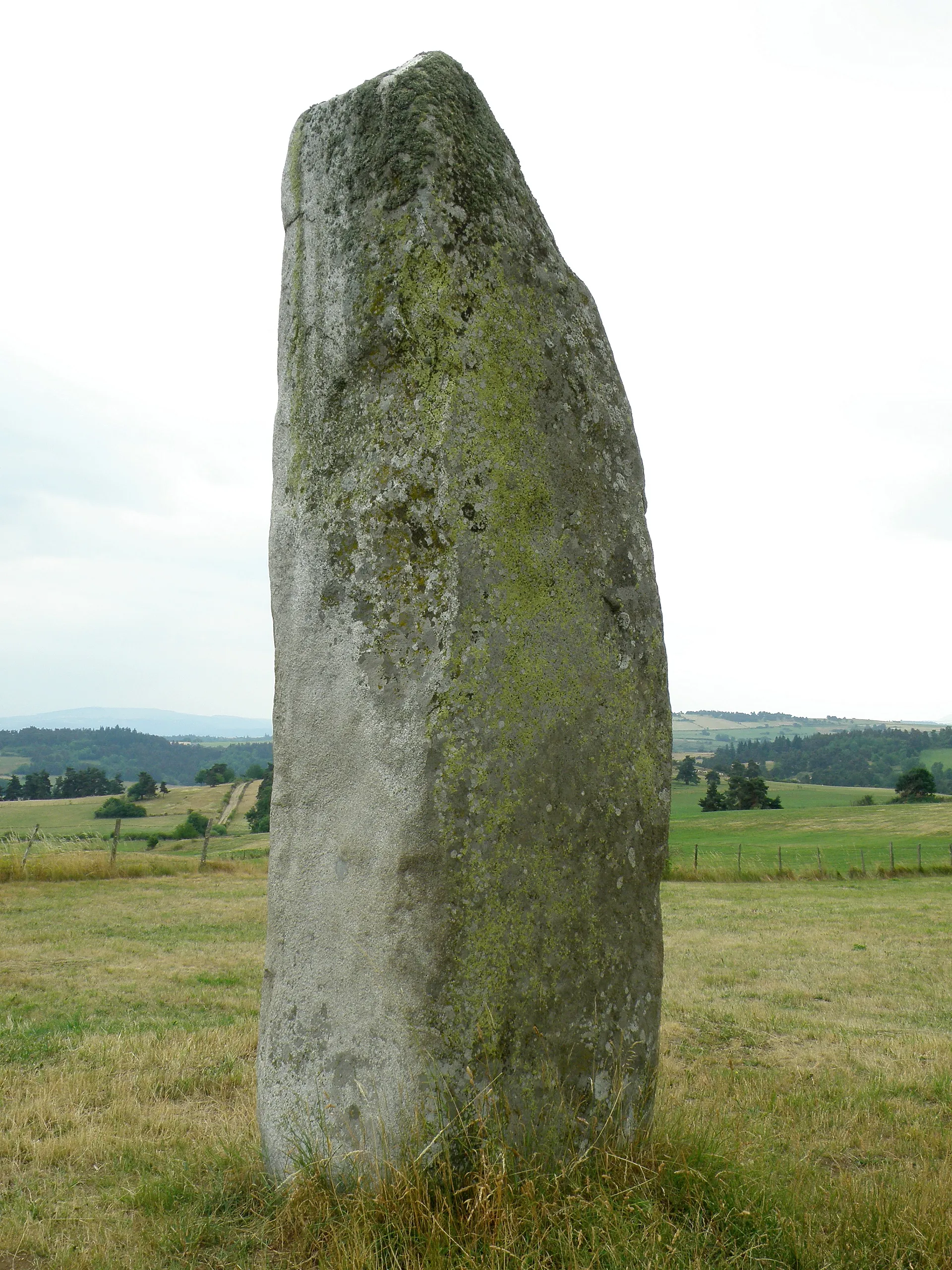 Photo showing: Aydat, commune du Puy-de-Dôme. Menhir de Pierre Longue, se dressant dans un champ bordant la route départementale D788 entre Aydat et Fohet.