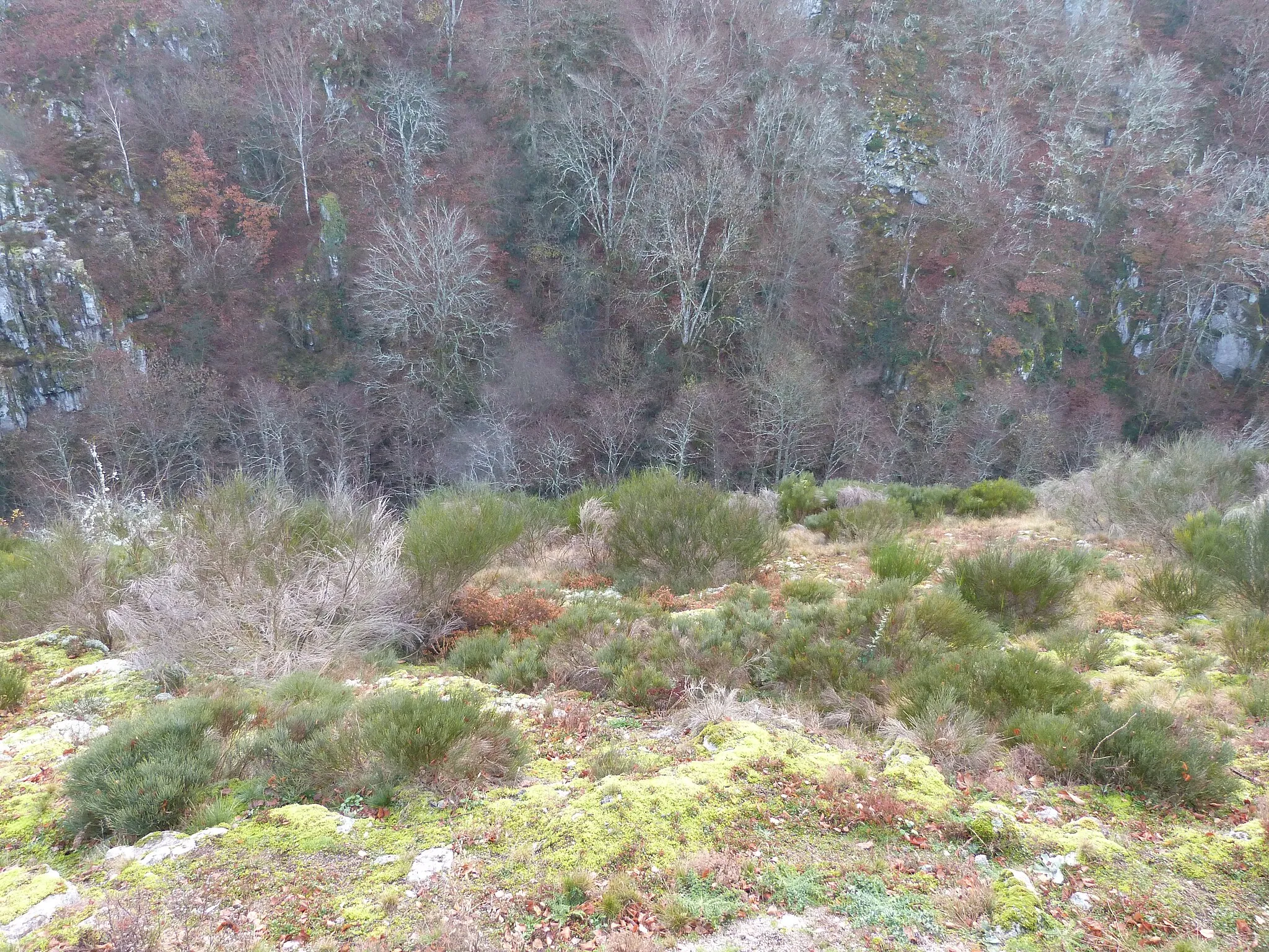 Photo showing: Paysage aux abords du hameau de Bez-Bédène