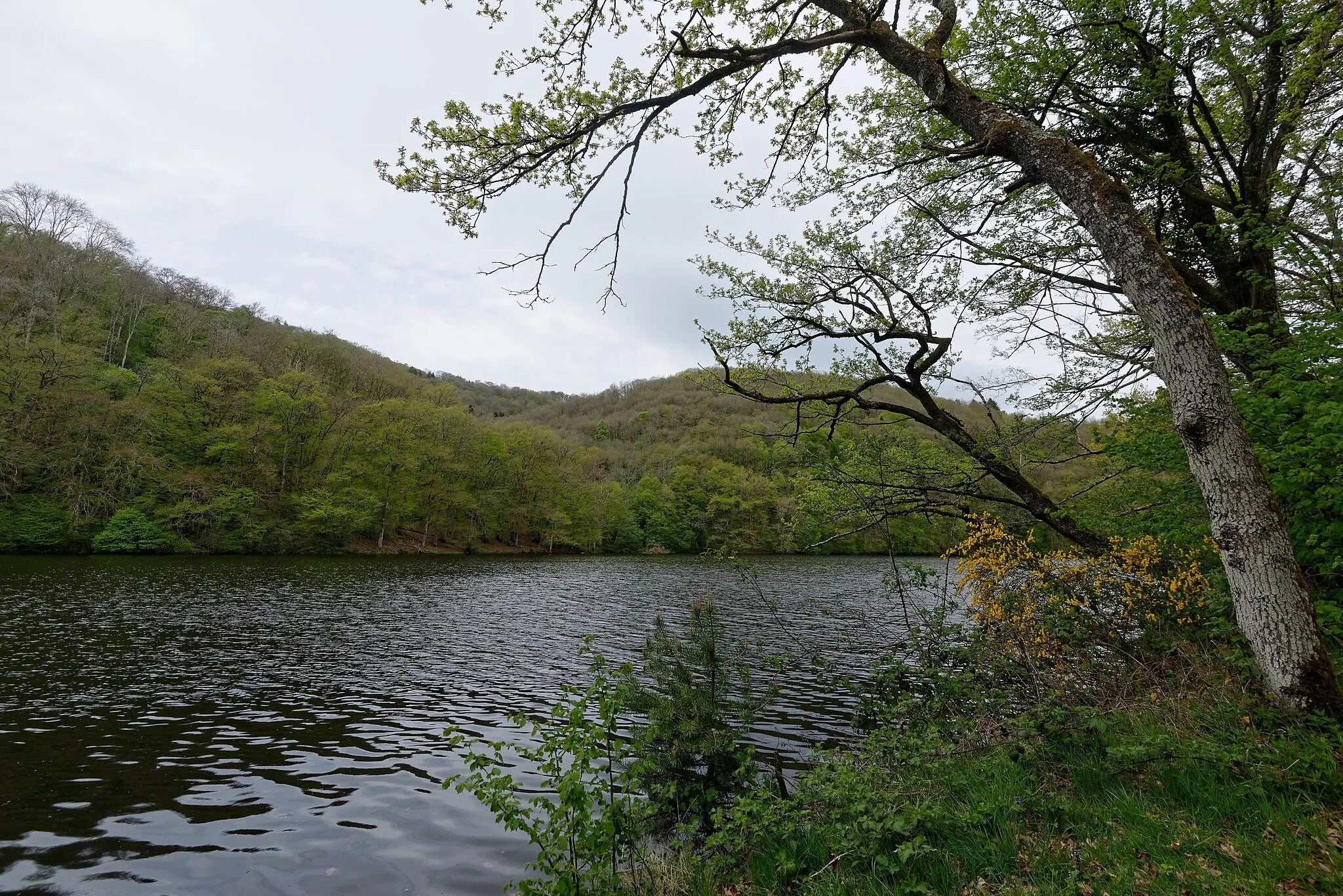 Photo showing: Rives de la Sioule depuis la presqu'île de Saint-Cyrgues à Saint-Gervais d'Auvergne.