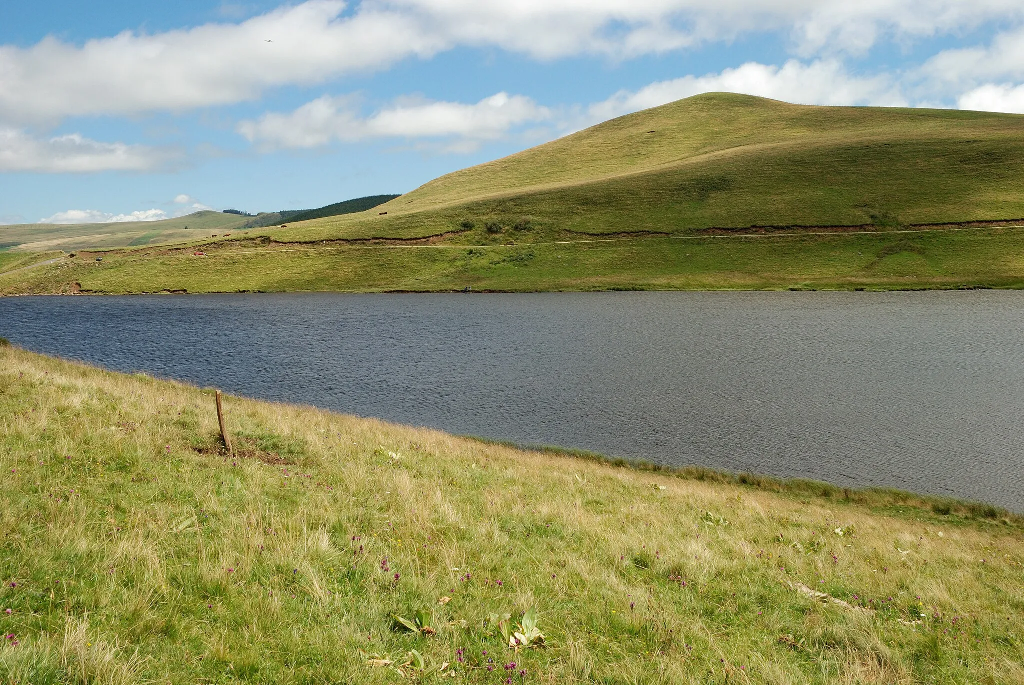 Photo showing: Lake of Saint-Alyre in the Cézallier area near the village of La Godivelle (Puy-de-Dôme, France.