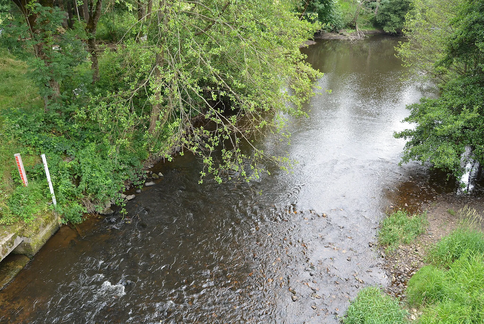 Photo showing: Le Sioulet au sud du pont de la route départementale 941 à Pontaumur (Puy-de-Dôme, Auvergne-Rhône-Alpes, France).