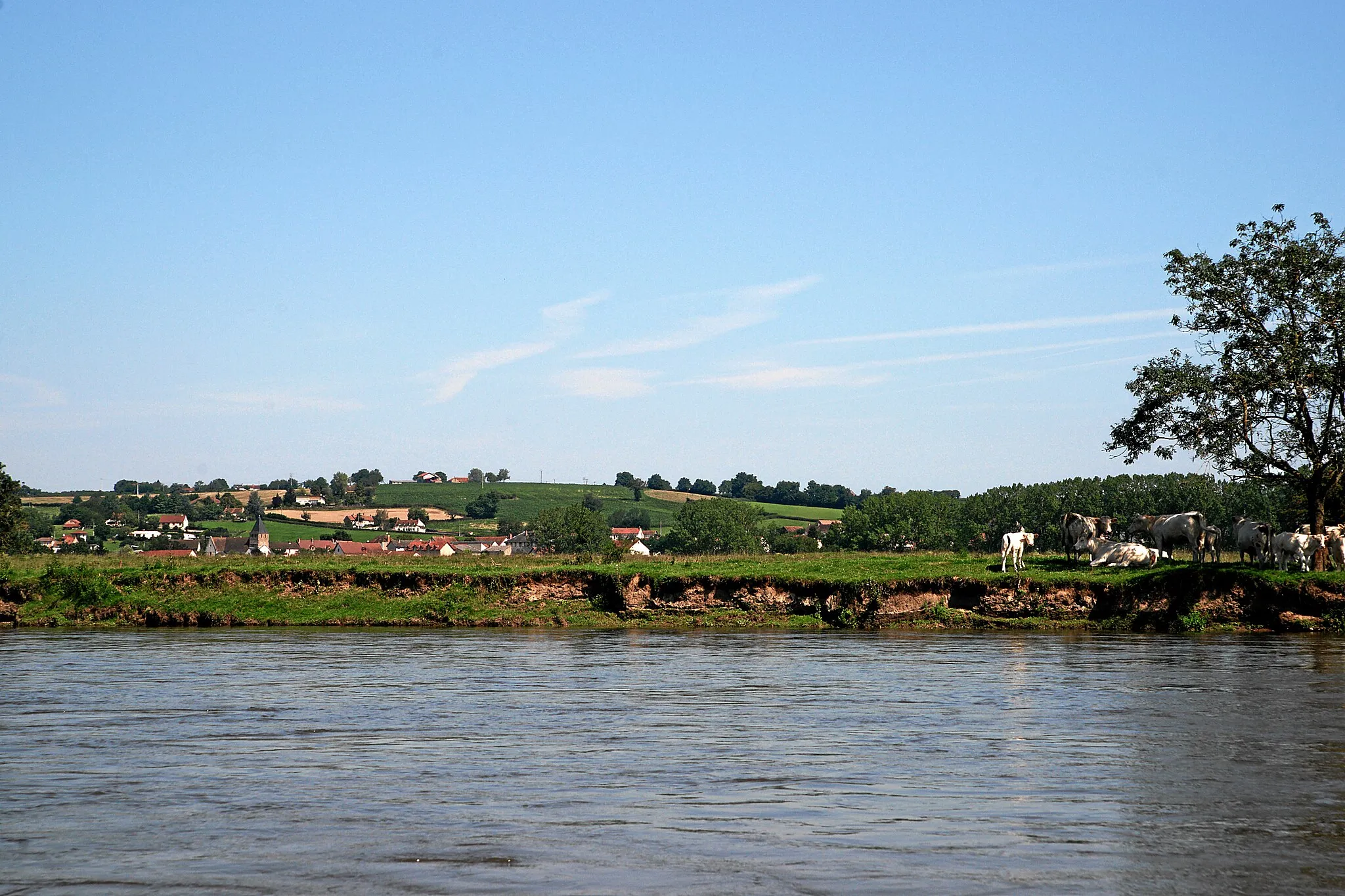 Photo showing: Loireufer bei Gilly-sur-Loire