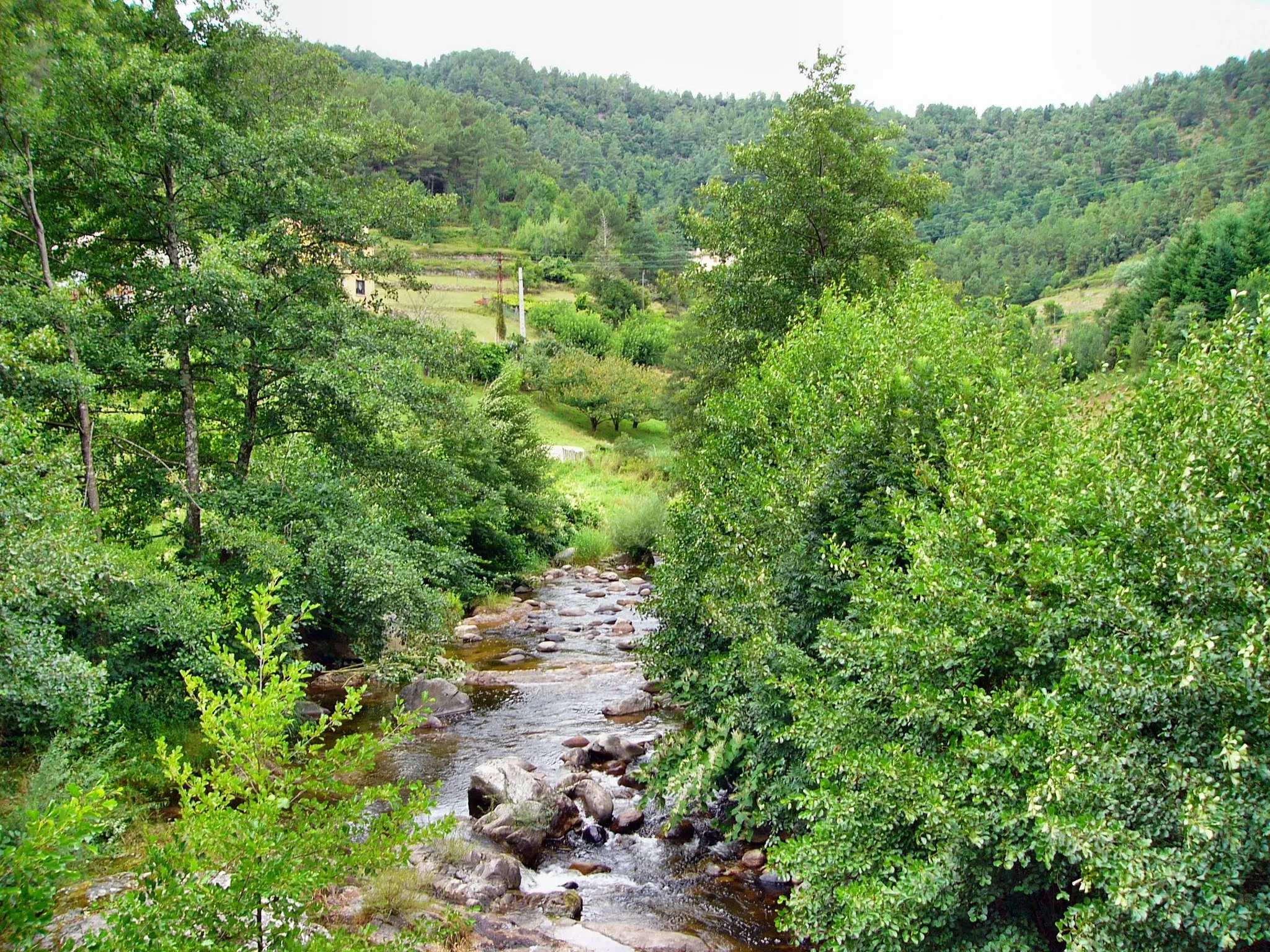 Photo showing: L'Auzène au Maléon près de Saint-Sauveur-de-Montagut