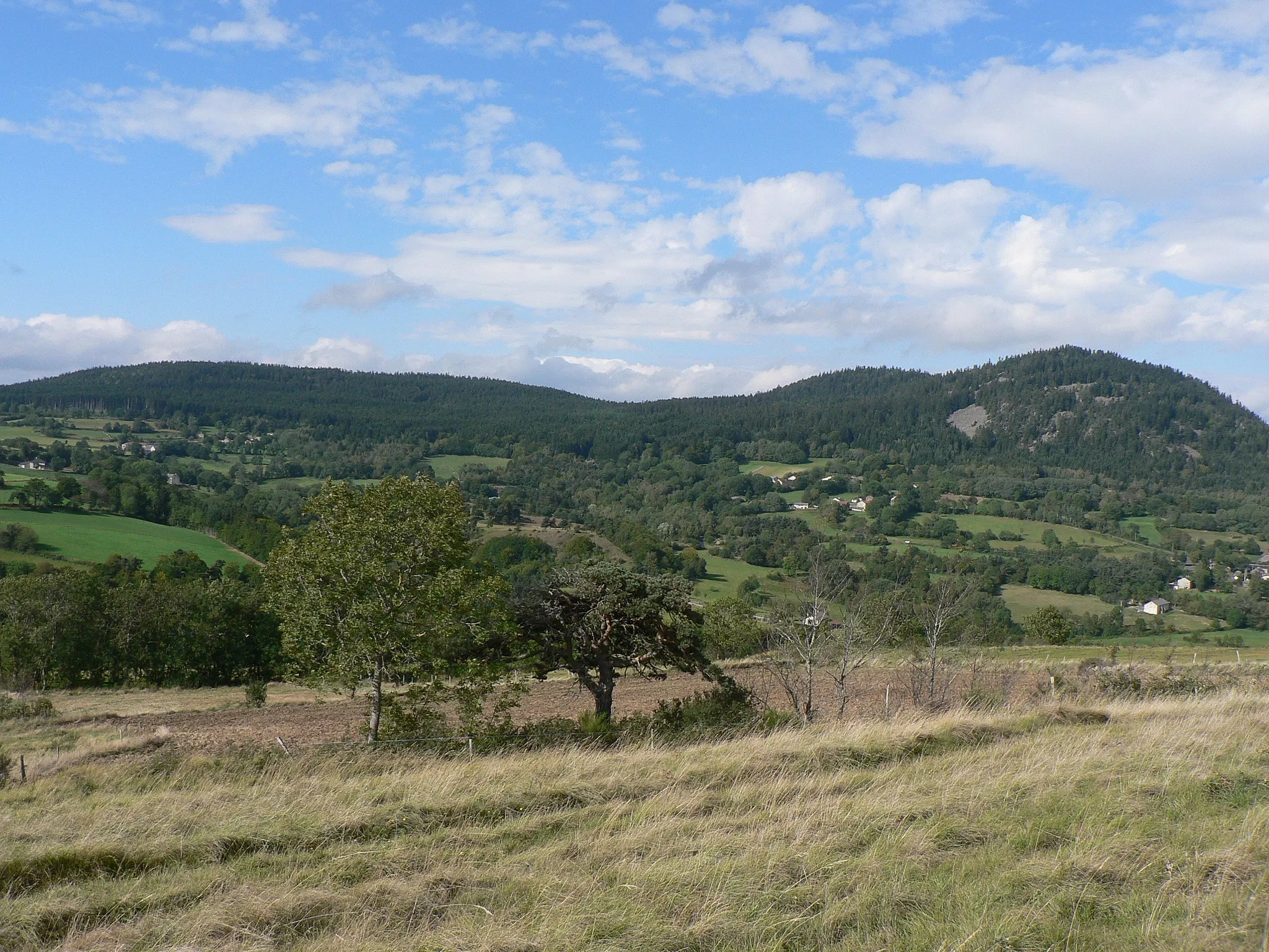 Photo showing: Loségal, Mont Gros, suc de Jorance