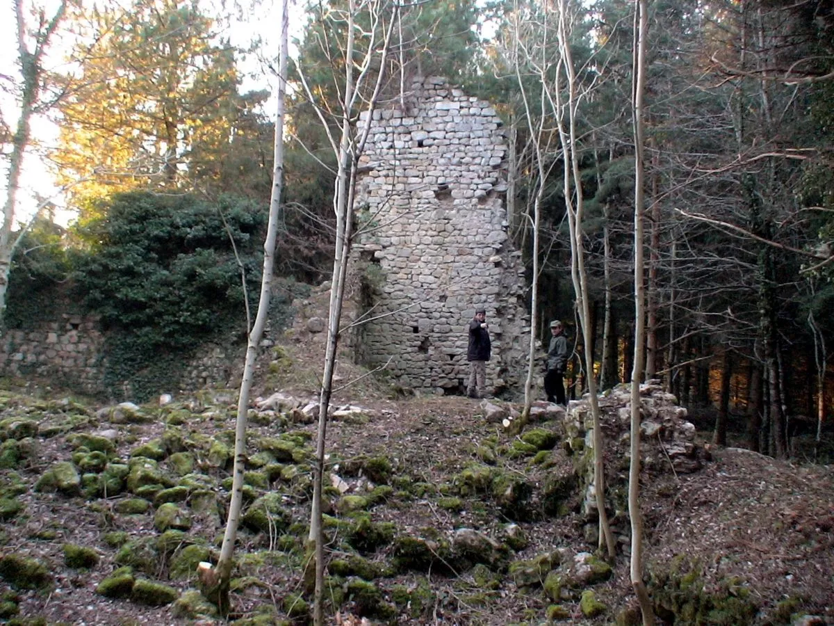 Photo showing: Castle of Montguerlhe (2008)