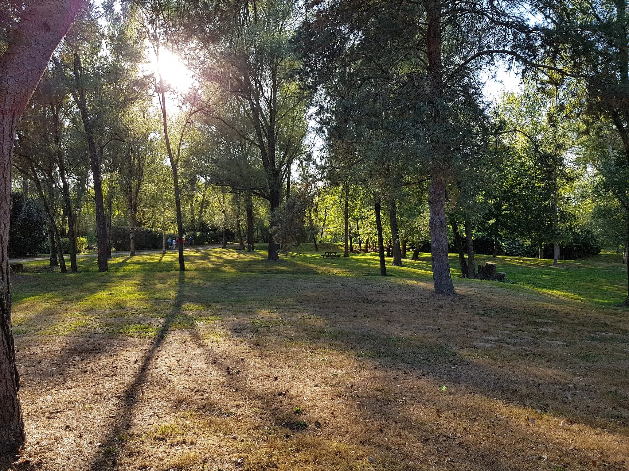 Photo showing: Parc de jogging d'ILOA à Thiers