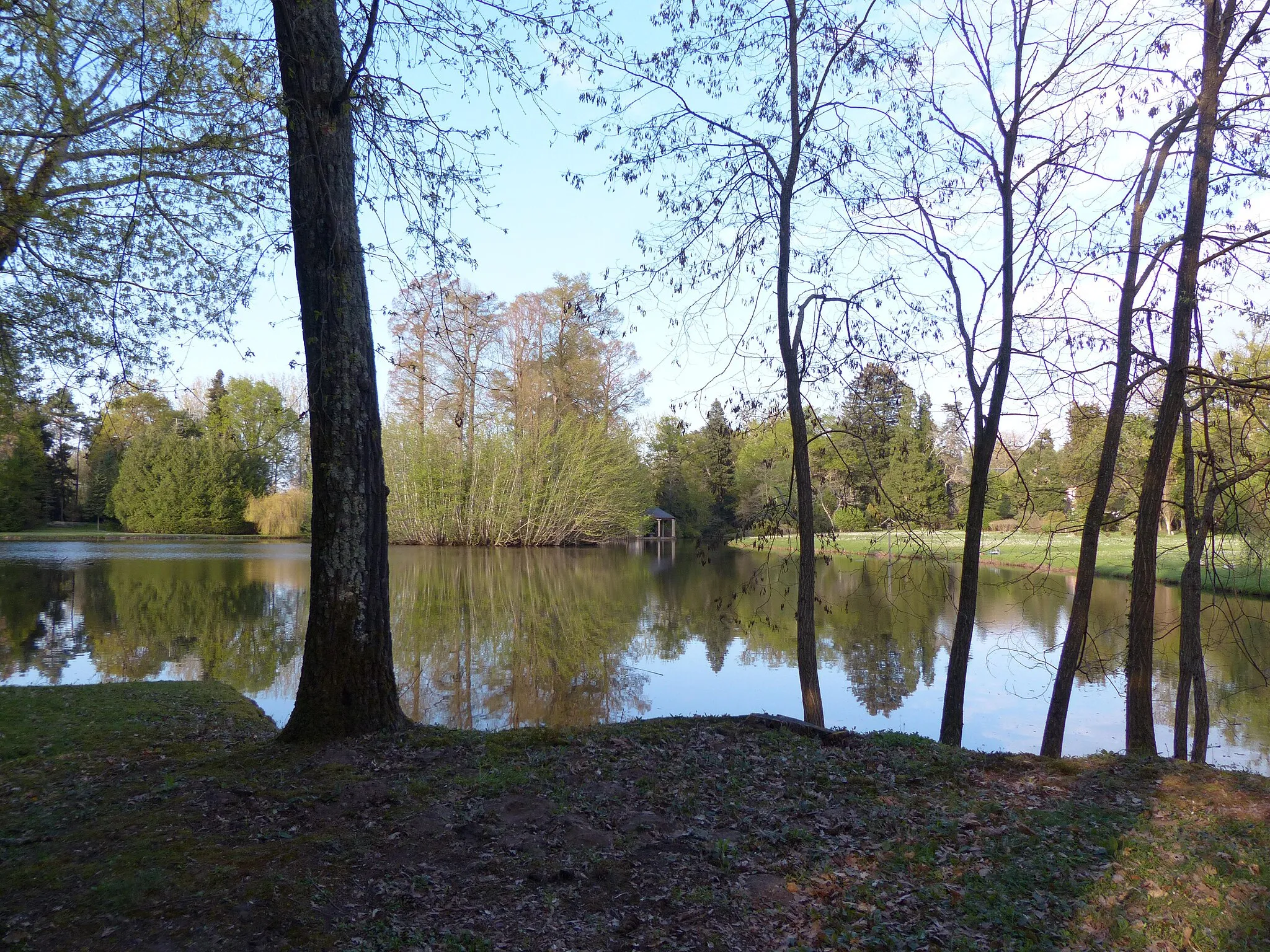 Photo showing: Arboretum de Balaine (Villeneuve-sur-Allier, France). Le lac. On peut deviner la façade du château au fond à droite.