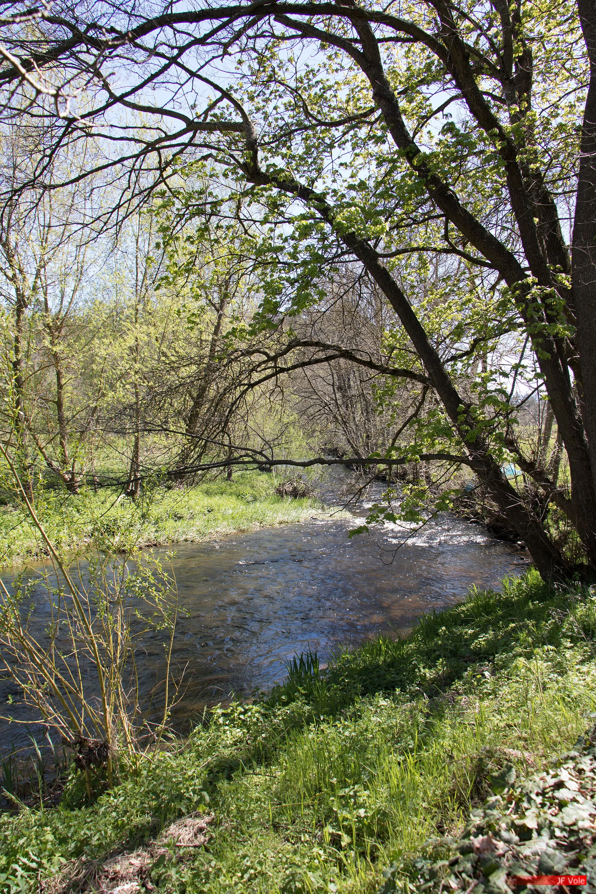 Photo showing: La rivière Borne en bas du village de Borne.