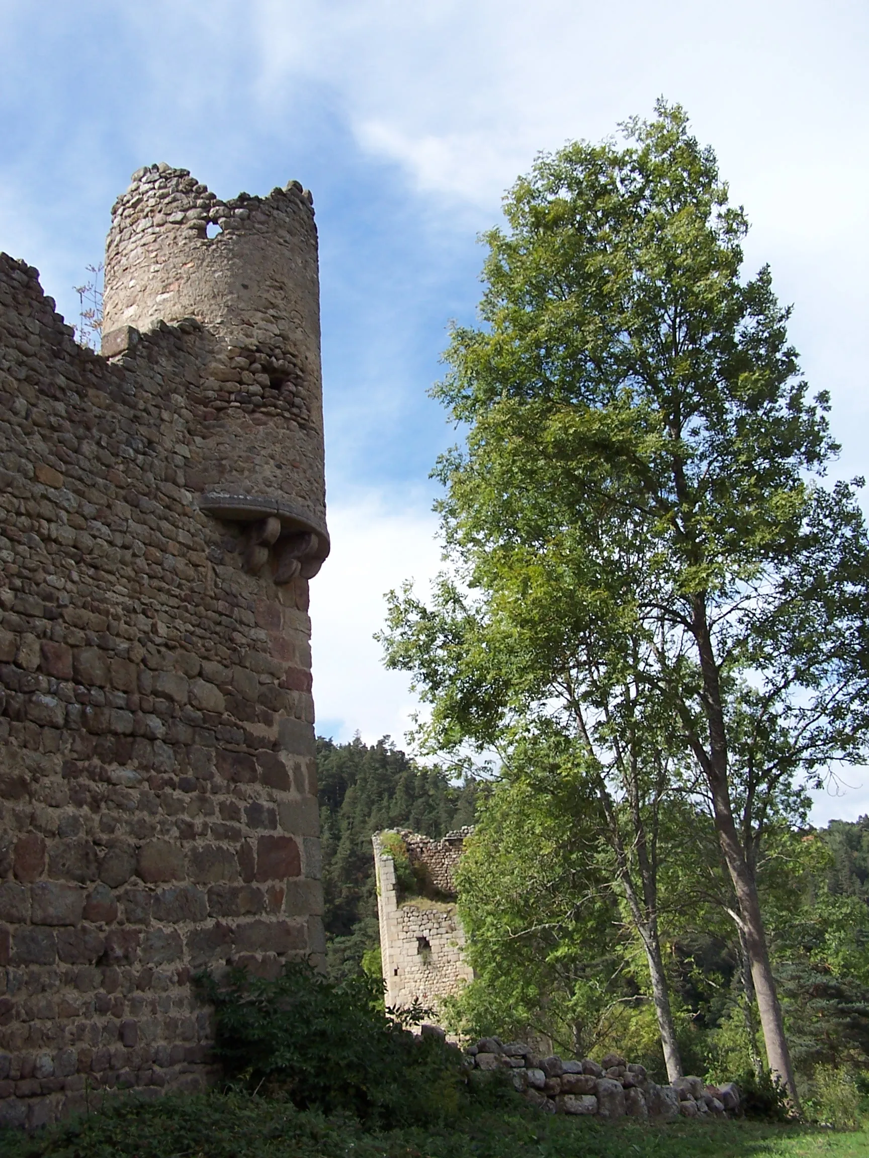 Photo showing: Détail du logis du château de Carry, à Grazac en Haute-Loire (43).