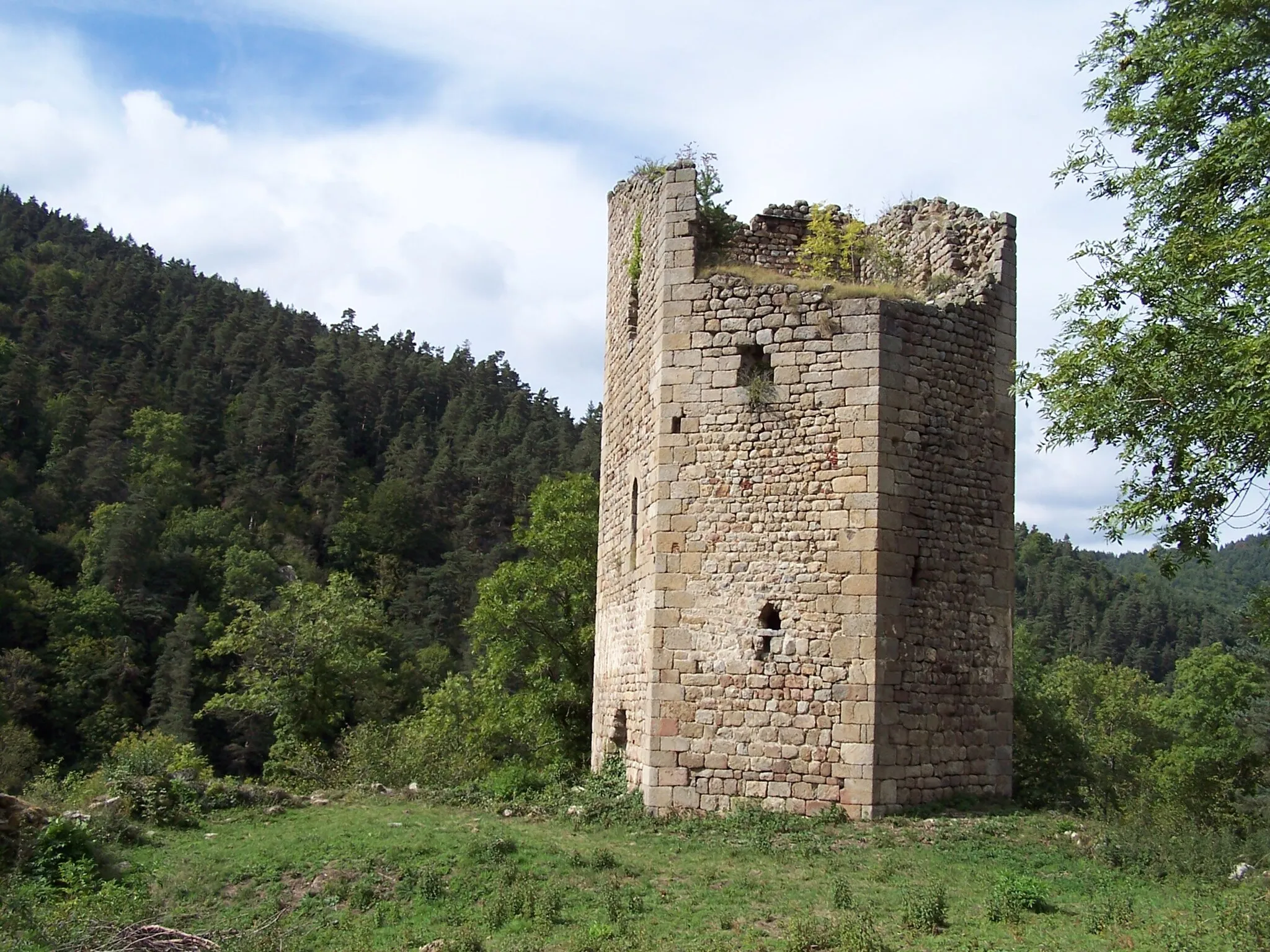 Photo showing: Vue sur la tour pentagonale datant de la fin du XIIe, début du XIIIe siècle, du château de Carry, à Grazac en Haute-Loire (43).