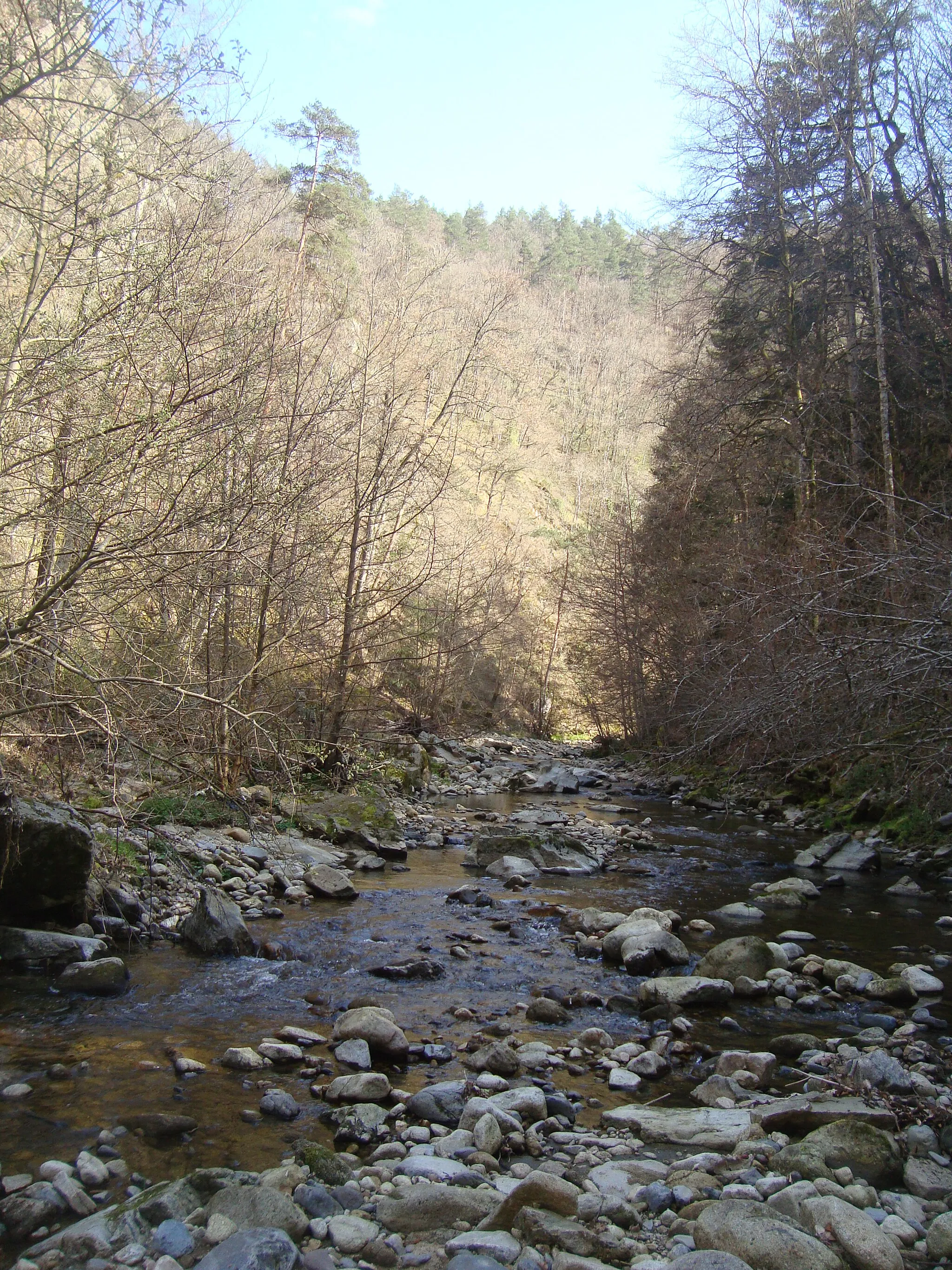 Photo showing: La rivière du Ramel à proximité du saut du chien (commune de Beaux, Haute-Loire, France)