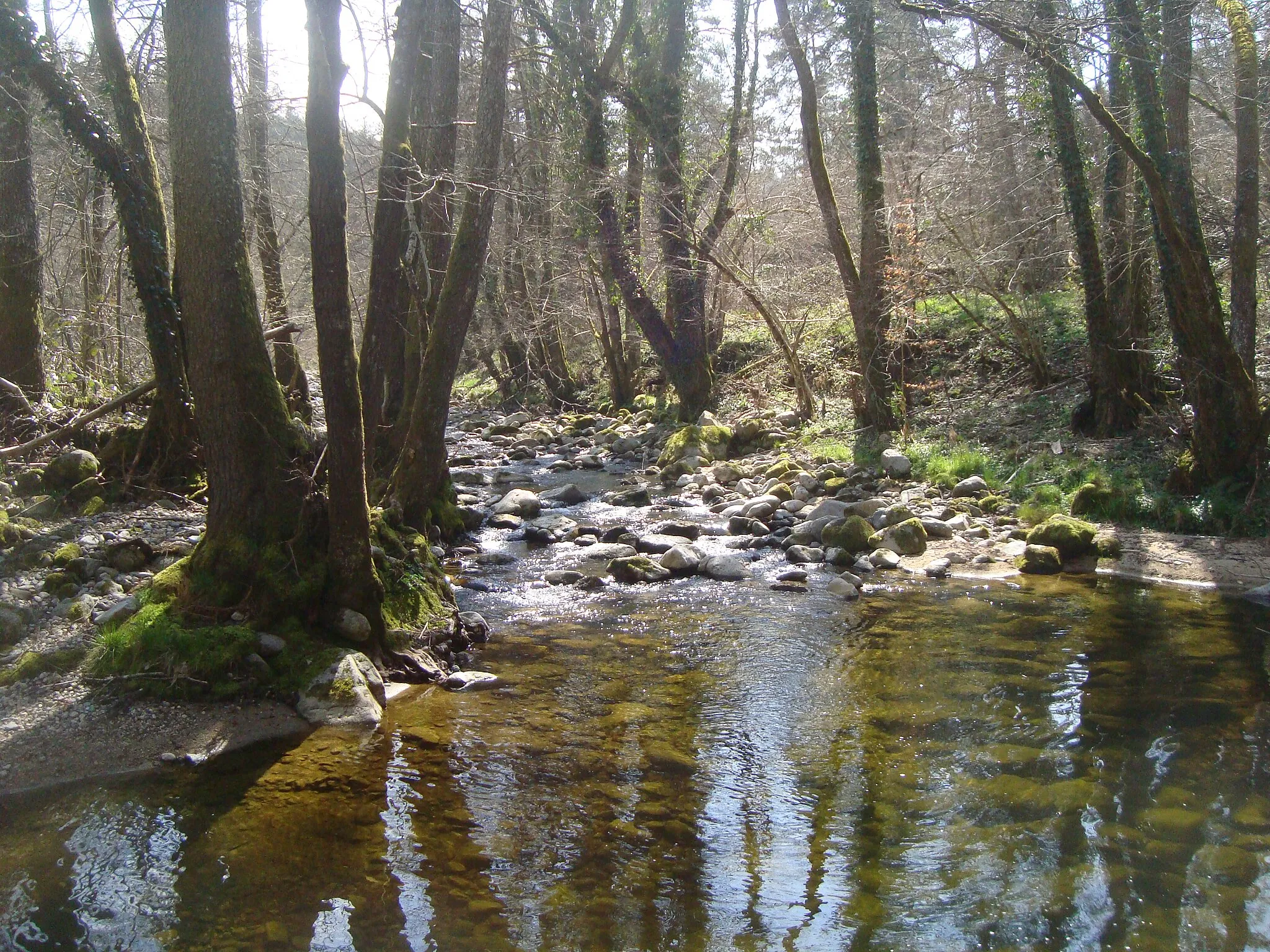 Photo showing: Coude de la rivière du Ramel en amont de sa jonction avec le ruisseau de Crisselle (commune de Beaux, France)