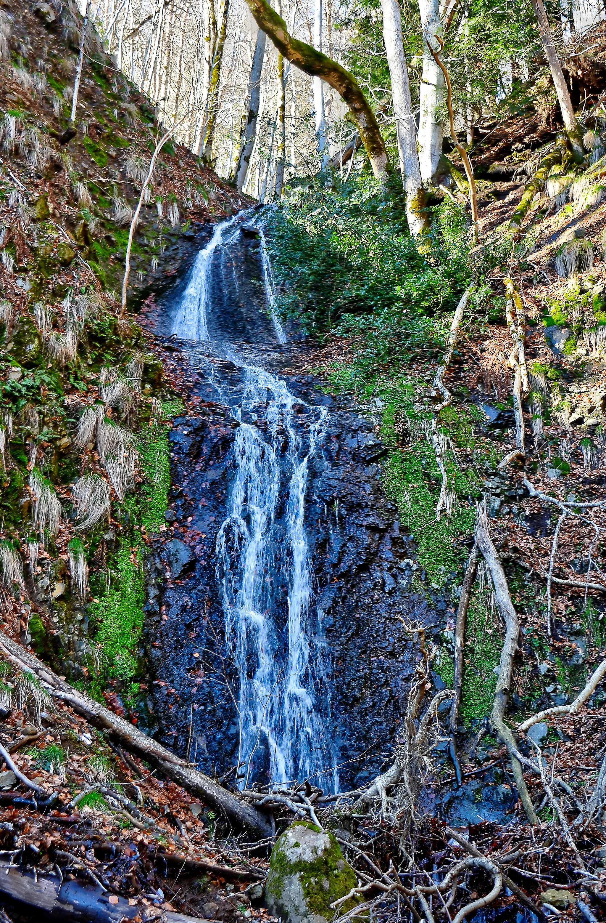 Photo showing: Cascade de Legal