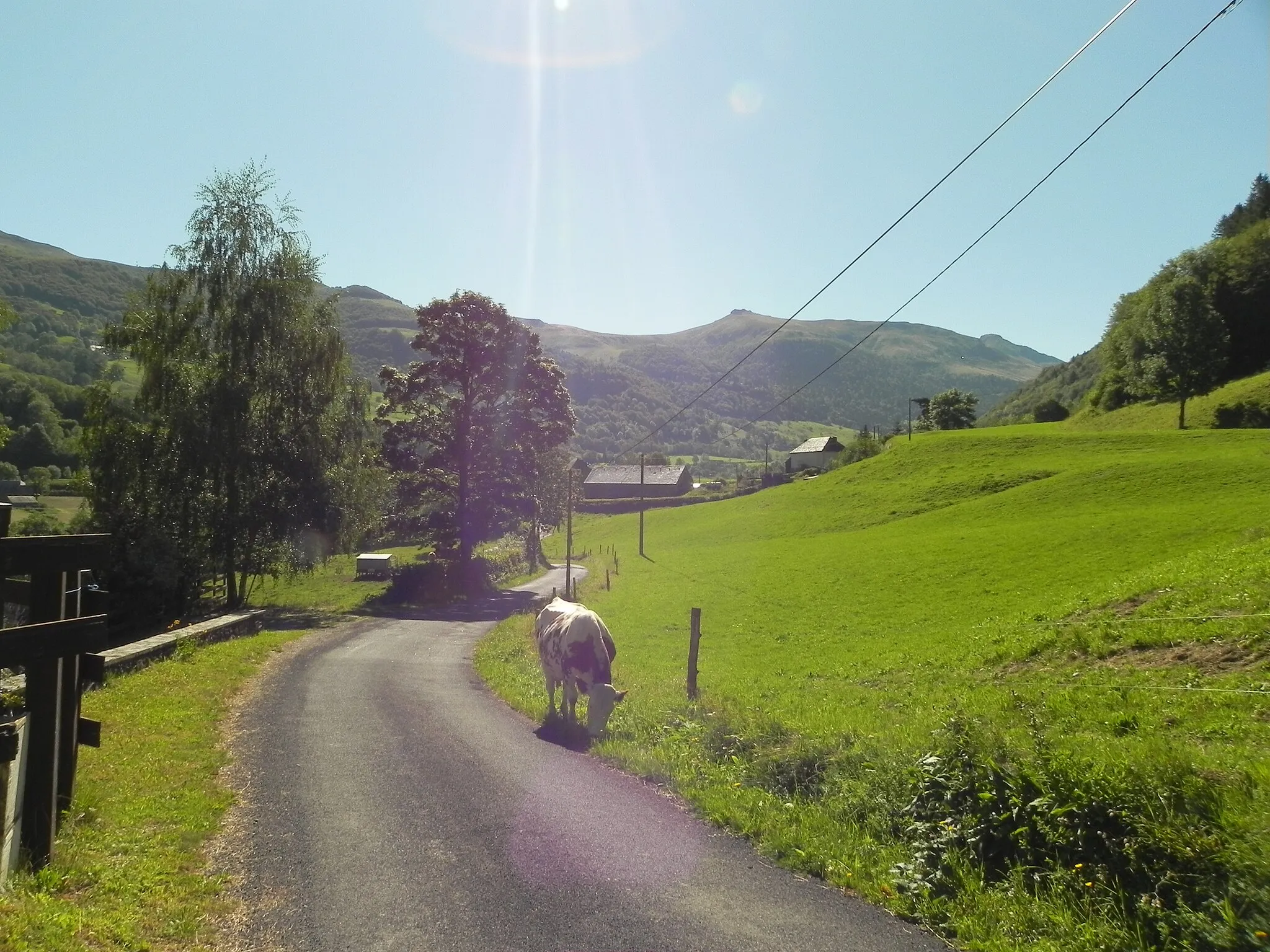 Photo showing: Fontolive est situé au pied du Puy-Mary,  au cœur du parc des volcans d'Auvergne, dans le département du Cantal.