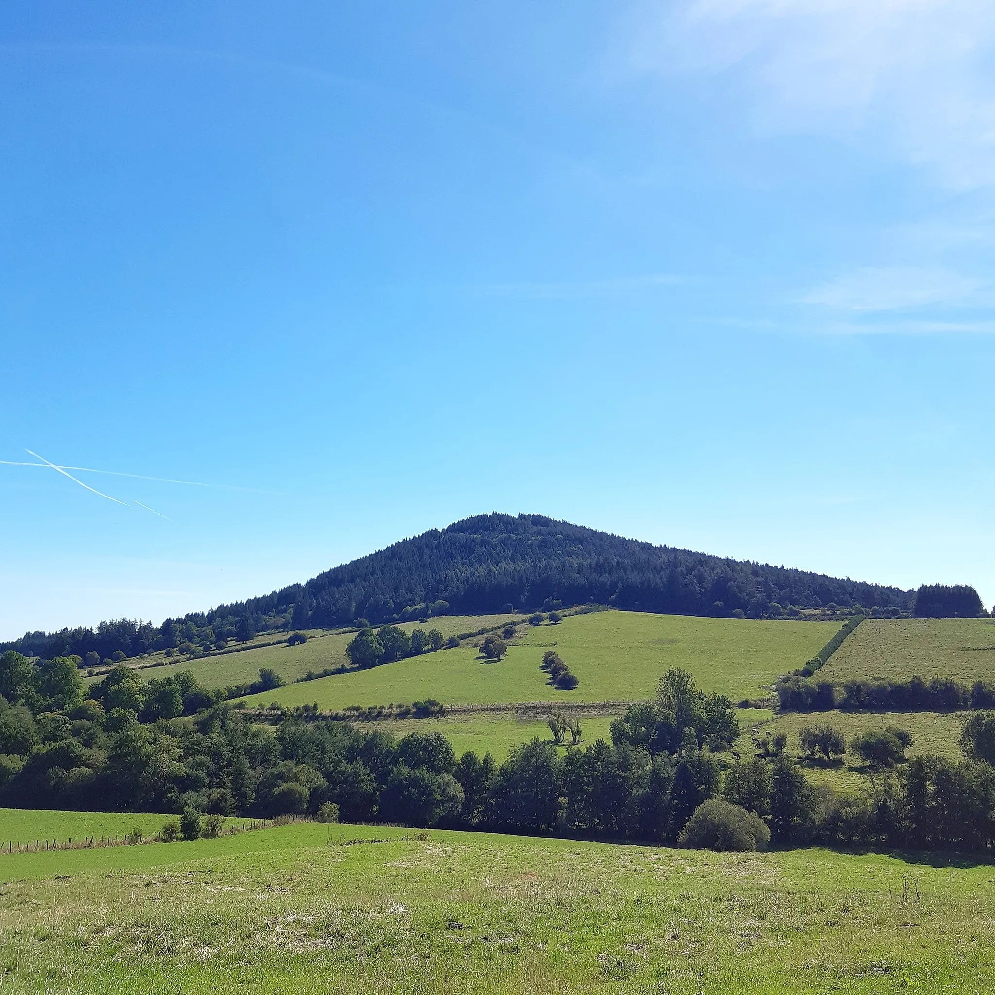 Photo showing: Flanc nord du Puy de Monténard