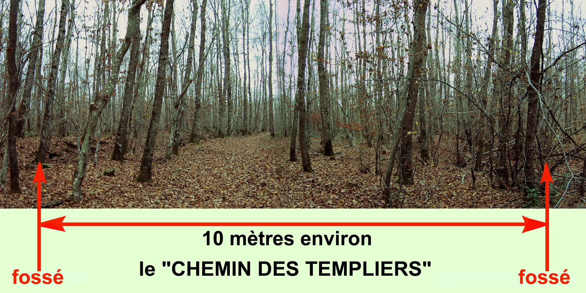 Photo showing: Voie connue sous les termes de "voie antique...voie romaine...chemin (ou allée) des templiers...traces encore bien visibles près du Chêne de Montaloyer.