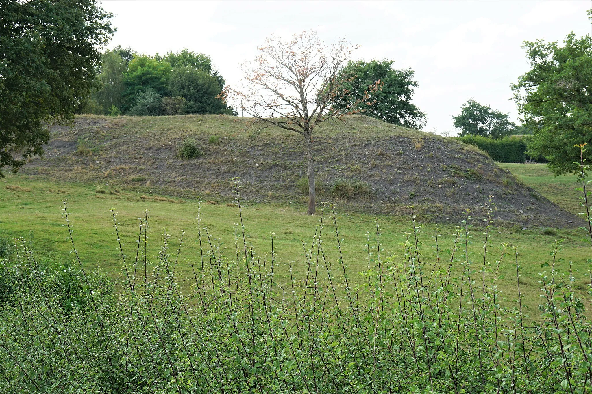 Photo showing: Le terril du puits Saint-Charles à Buxières-les-Mines.