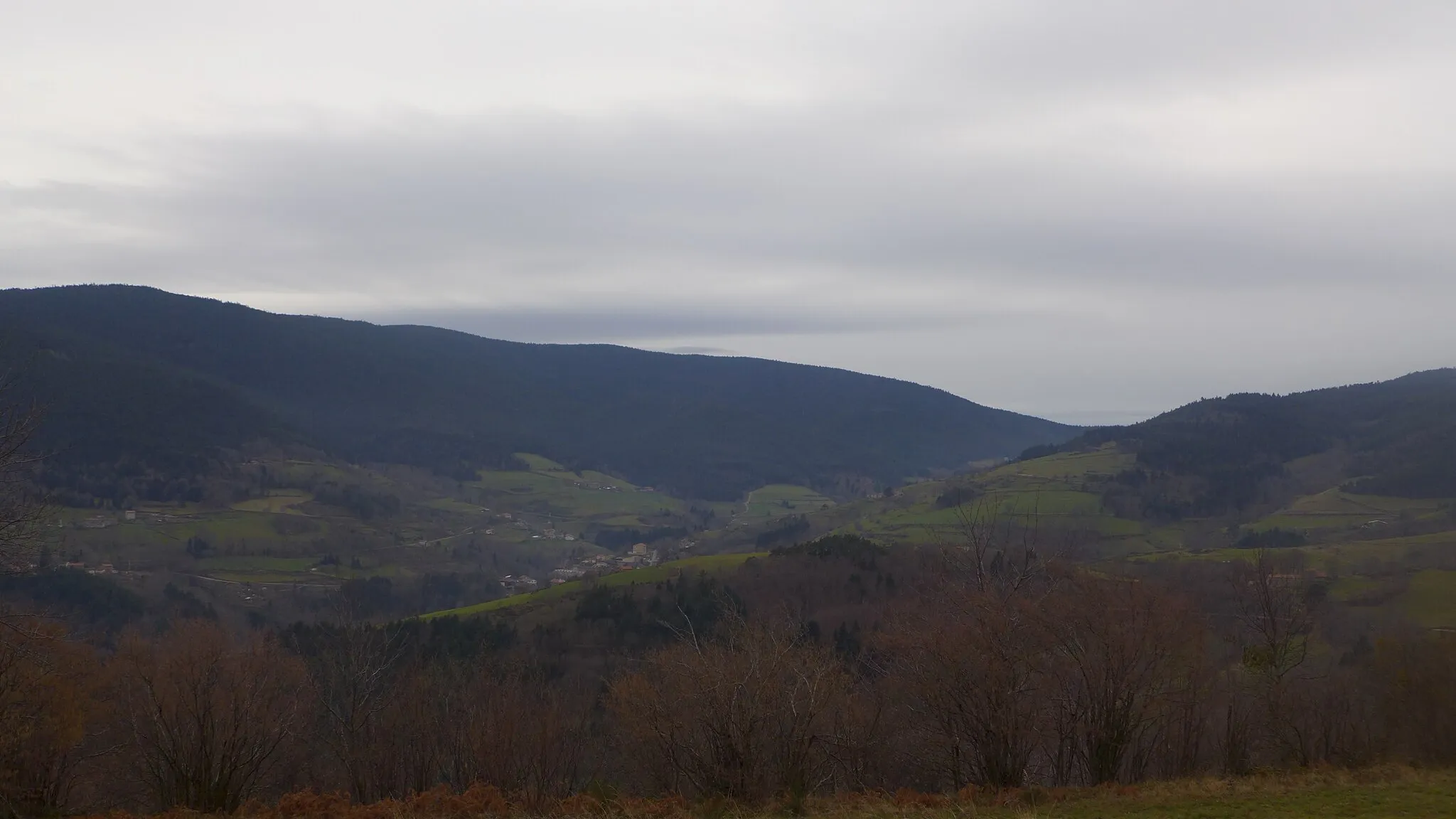 Photo showing: Vue de la forêt de Taillard du hameau de la Taule.