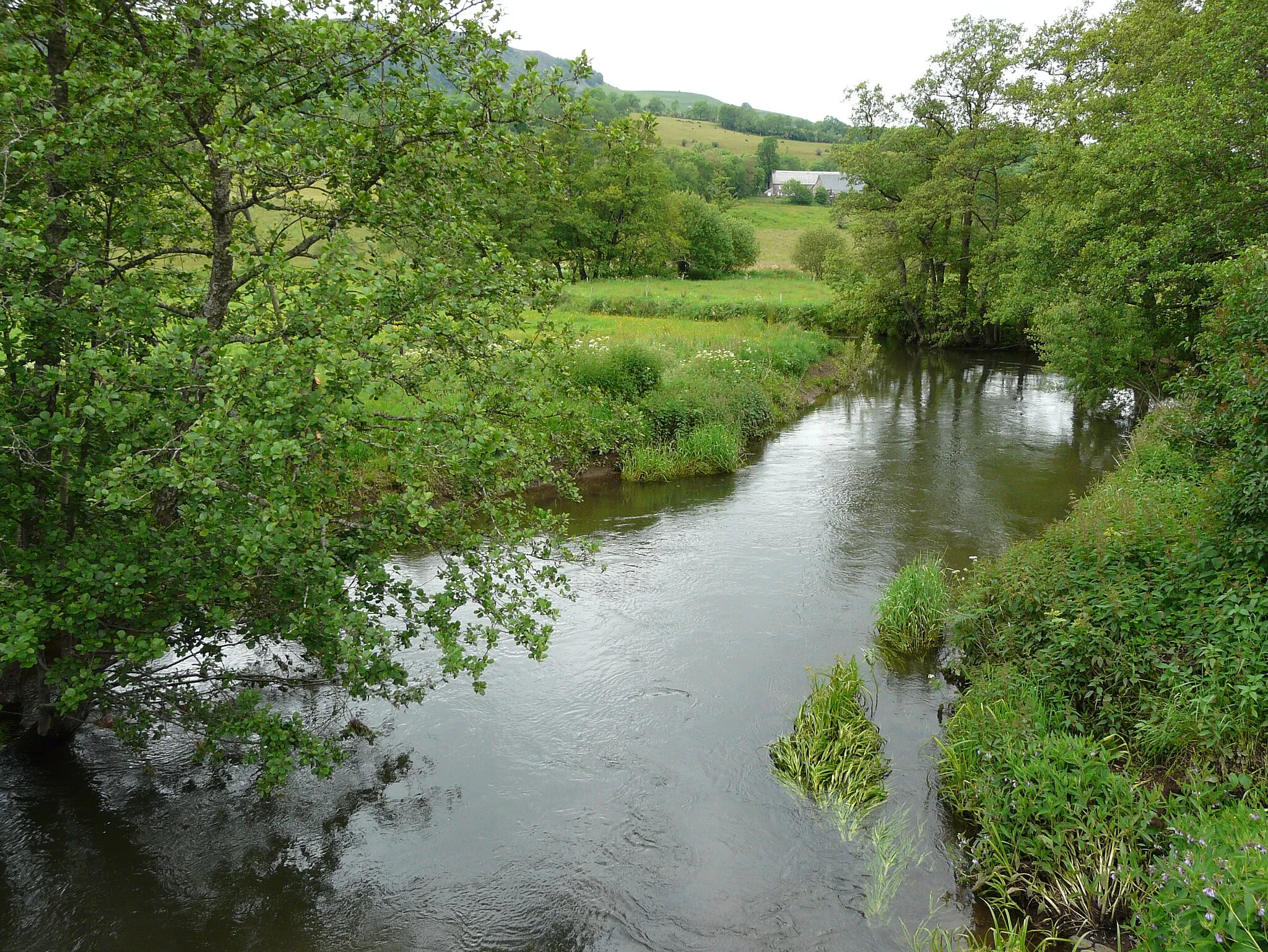 Photo showing: La Petite Rhue au pont de la route menant à Champoudoux, Cheylade, Cantal, France. Vue prise en direction de l'aval.