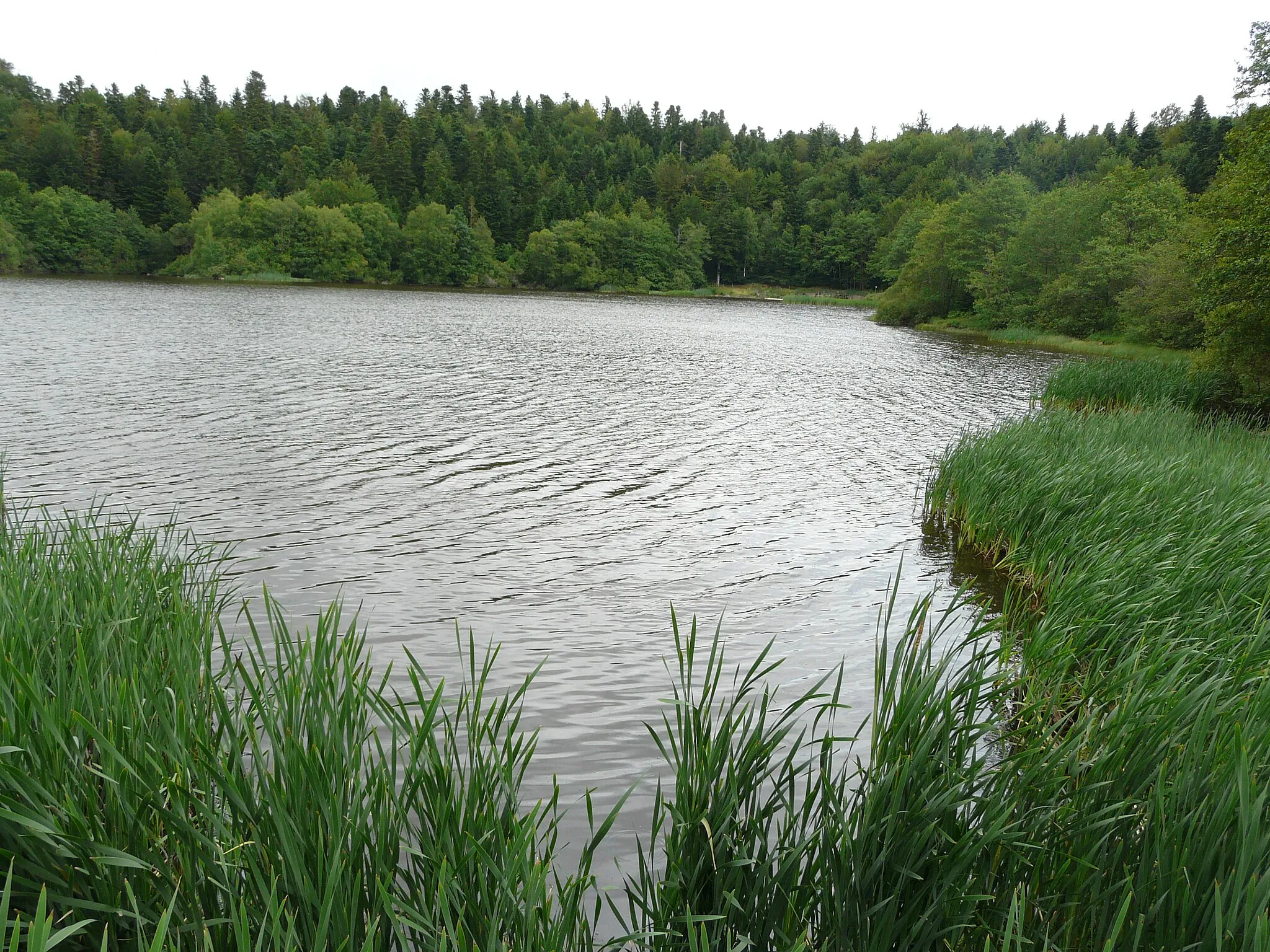 Photo showing: La rive sud du lac du Tact en amont de la digue de retenue sud-ouest, Trémouille, Cantal, France.