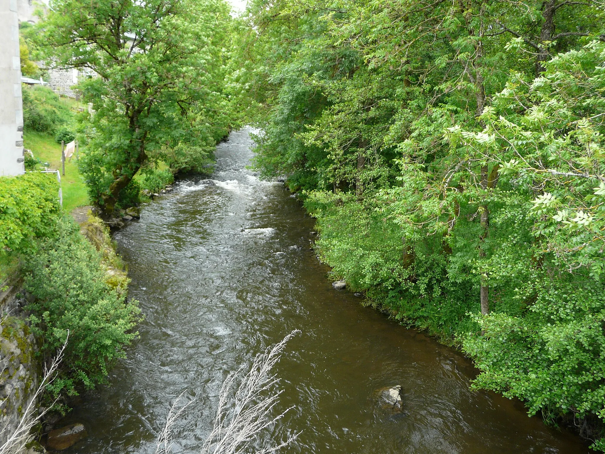 Photo showing: Le bras principal de la Santoire en amont du pont de la route départementale 36, Saint-Bonnet-de-Condat, Cantal, France.