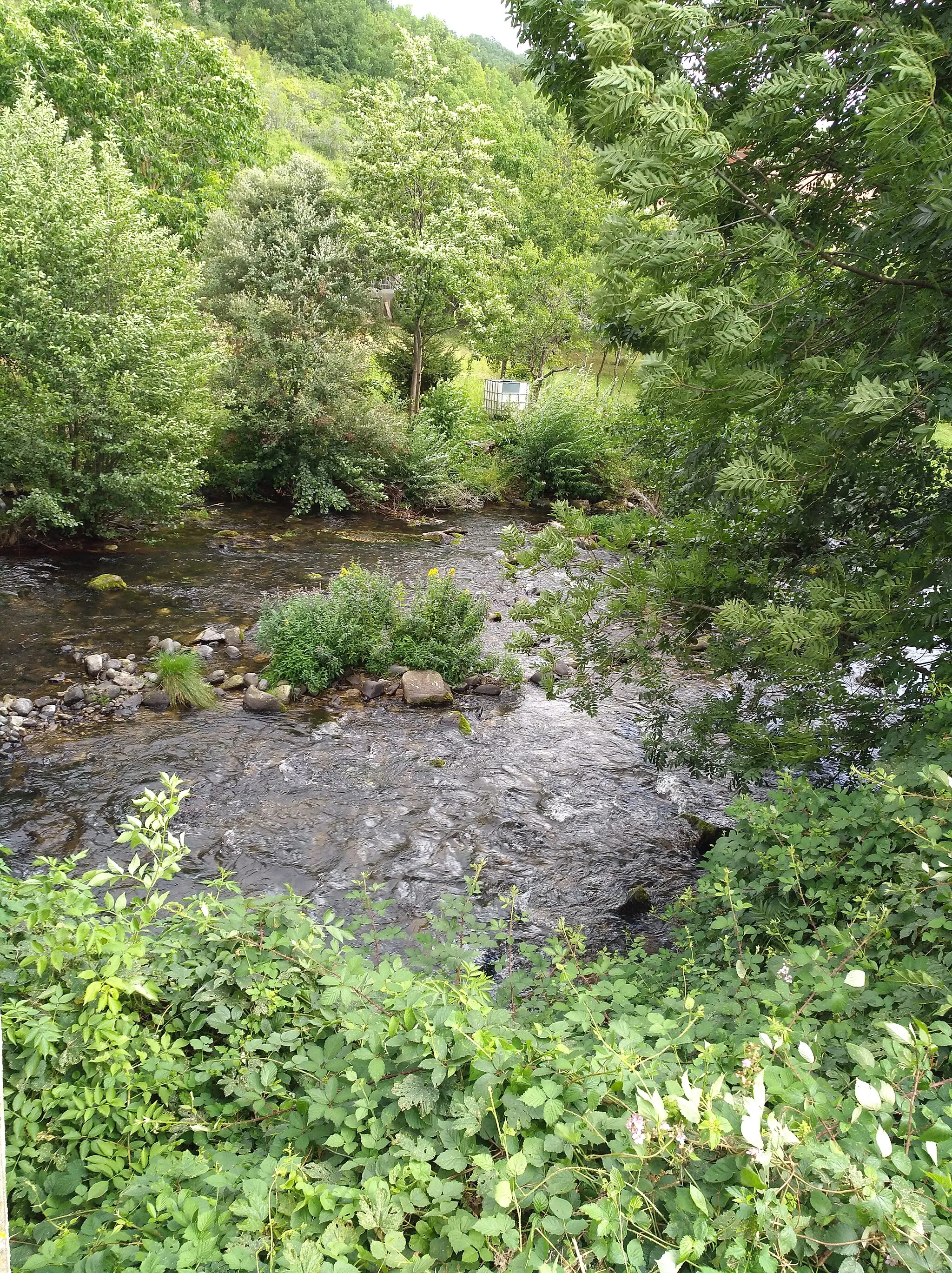 Photo showing: La Couze Pavin à Saurier, dans le Puy-de-Dôme (France).