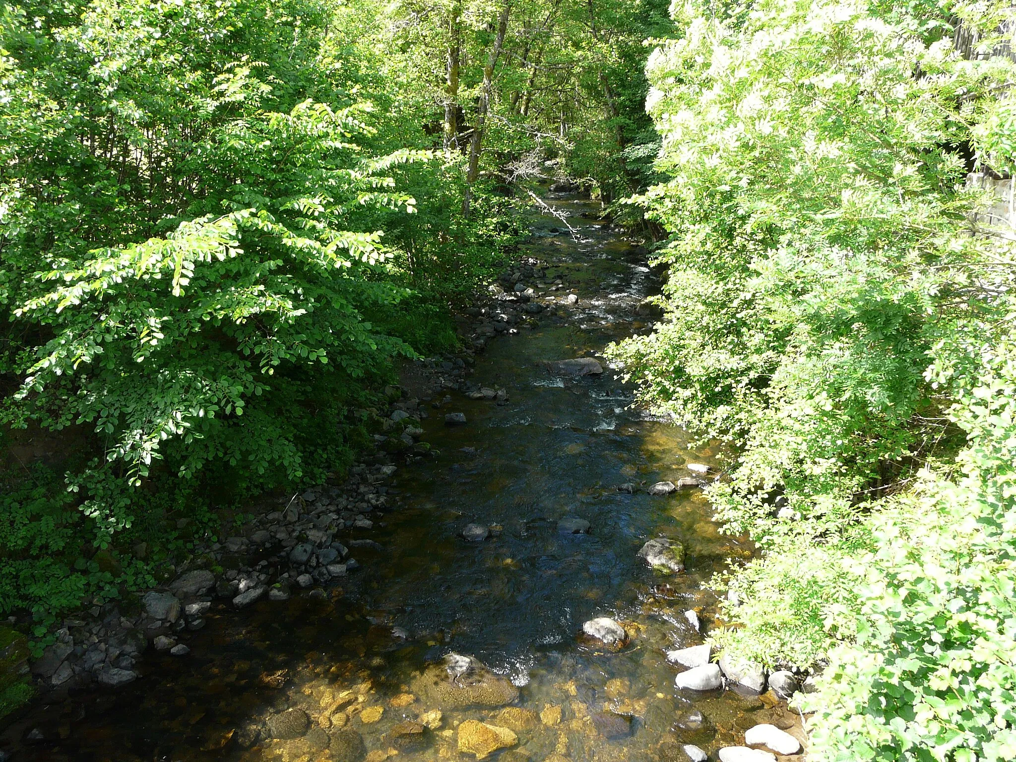 Photo showing: La Trentaine en aval du pont de la route départementale 88, Saint-Donat, Puy-de-Dôme, France.