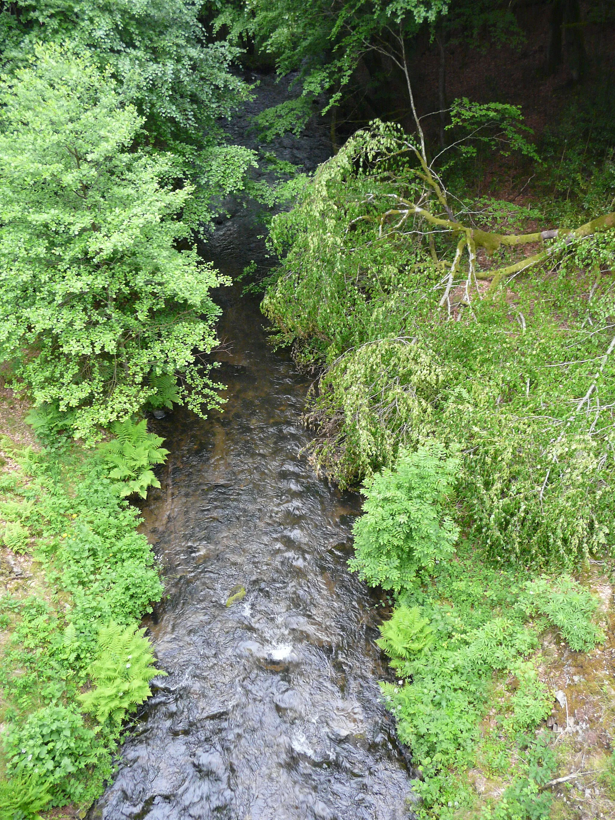 Photo showing: La Clidane, en aval du pont de la route départementale 602, marque la limite entre les communes de Saint-Julien-Puy-Lavèze (à gauche) et Saint-Sulpice (à droite), Puy-de-Dôme, France.