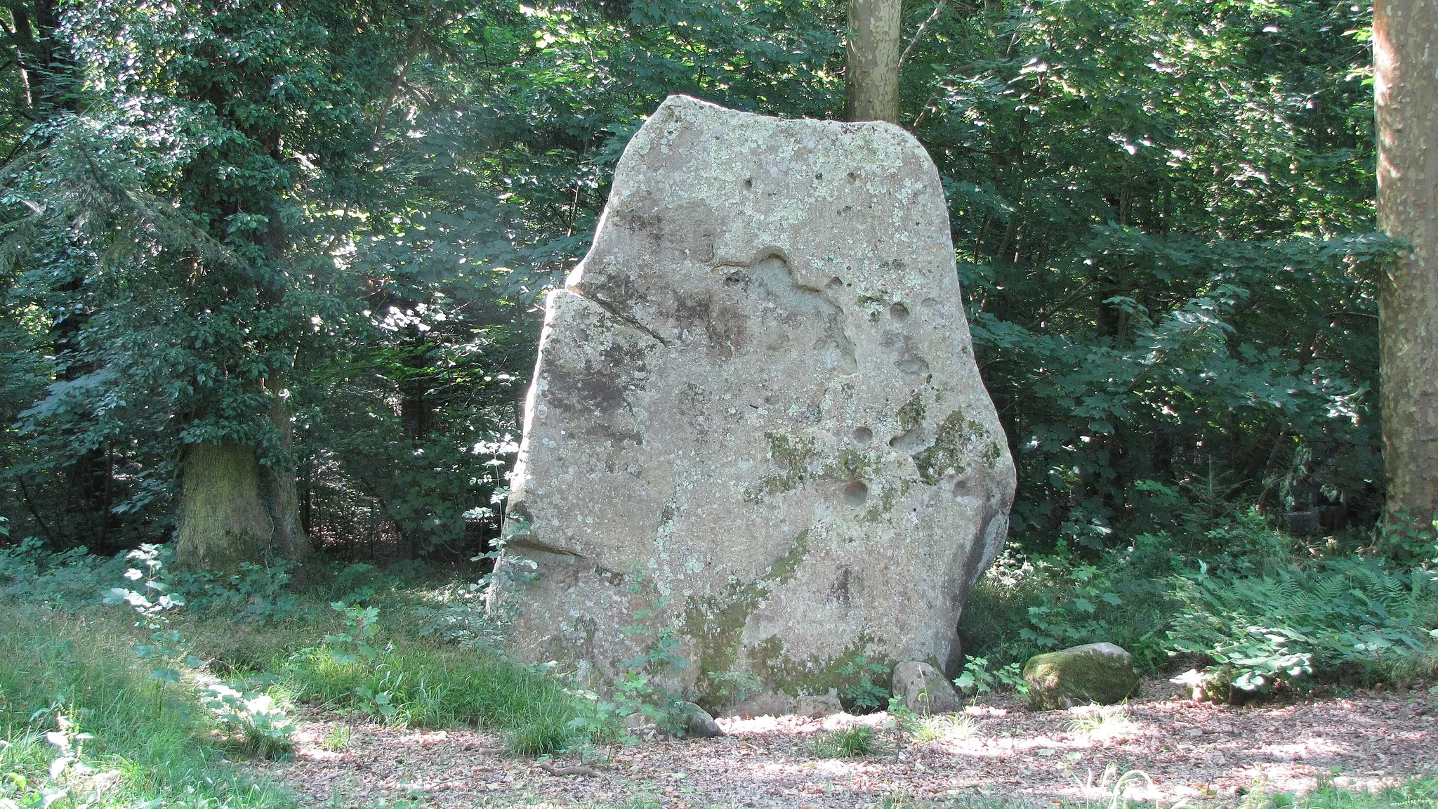 Photo showing: La Pierre Levée plate d'une épaisseur d'environ 70 à 80cm.