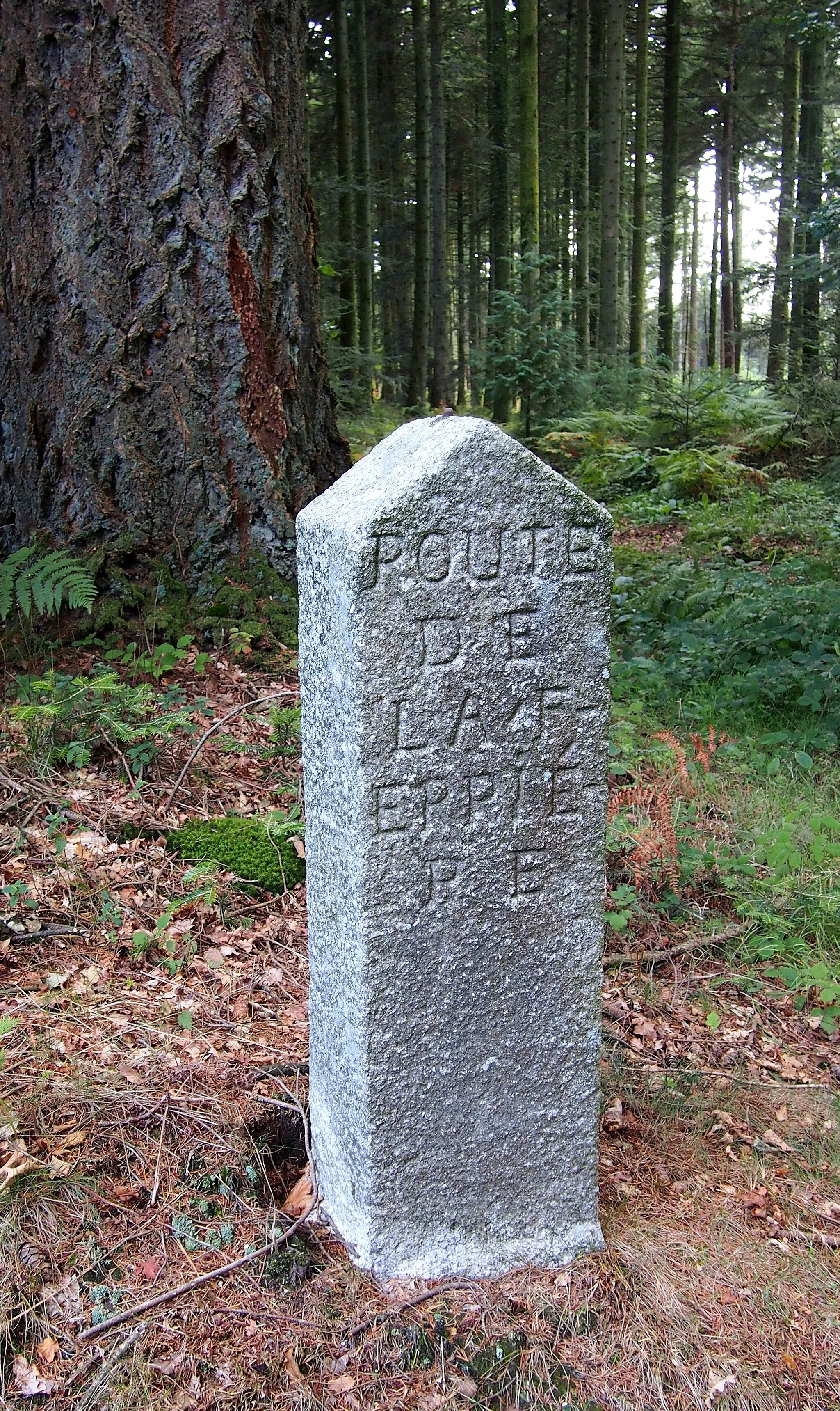 Photo showing: La Ferrière-Béchet (Normandie, France). Une des bornes de la forêt d'Écouves classées Monuments historiques, au carrefour de la Branloire, en direction du carrefour du Chêne Bossu.