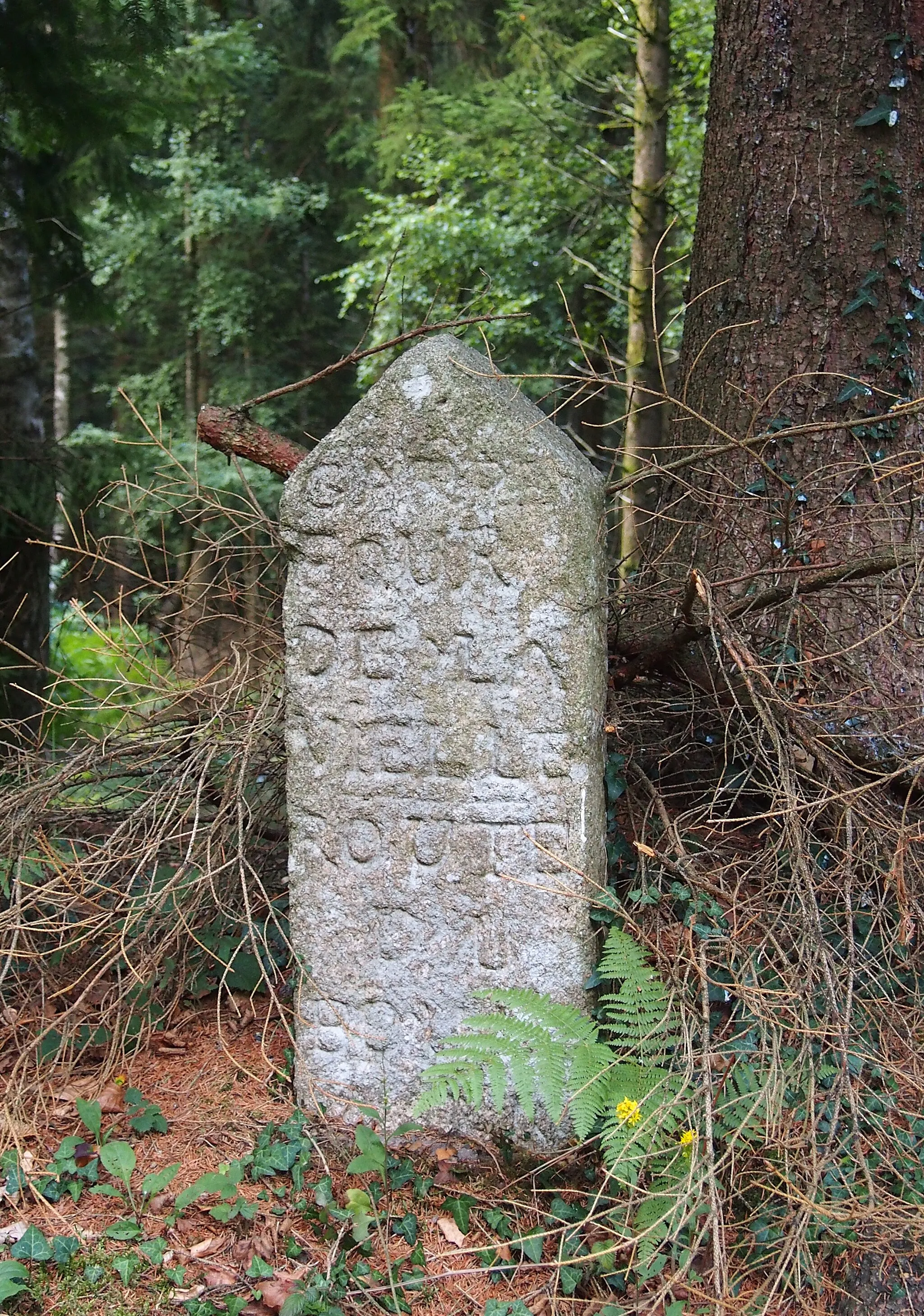 Photo showing: Le Bouillon (Normandie, France). Une des bornes de la forêt d'Écouves classées Monuments historiques, au carrefour de la Vielle, sur la route forestière de la Vielle.