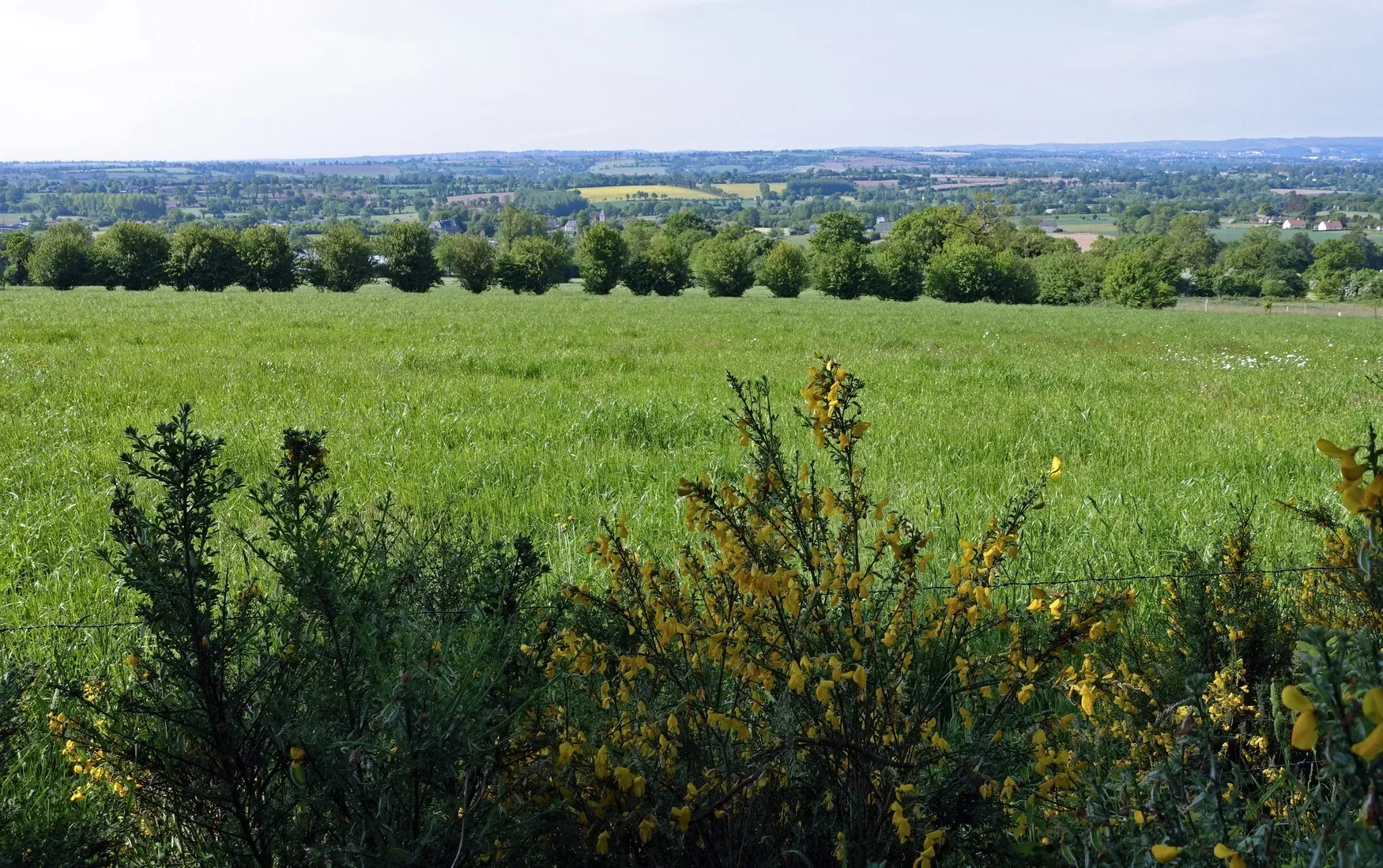 Photo showing: Bocage normand sur le sentier de Grande Randonnée 221, près du Bény-Bocage